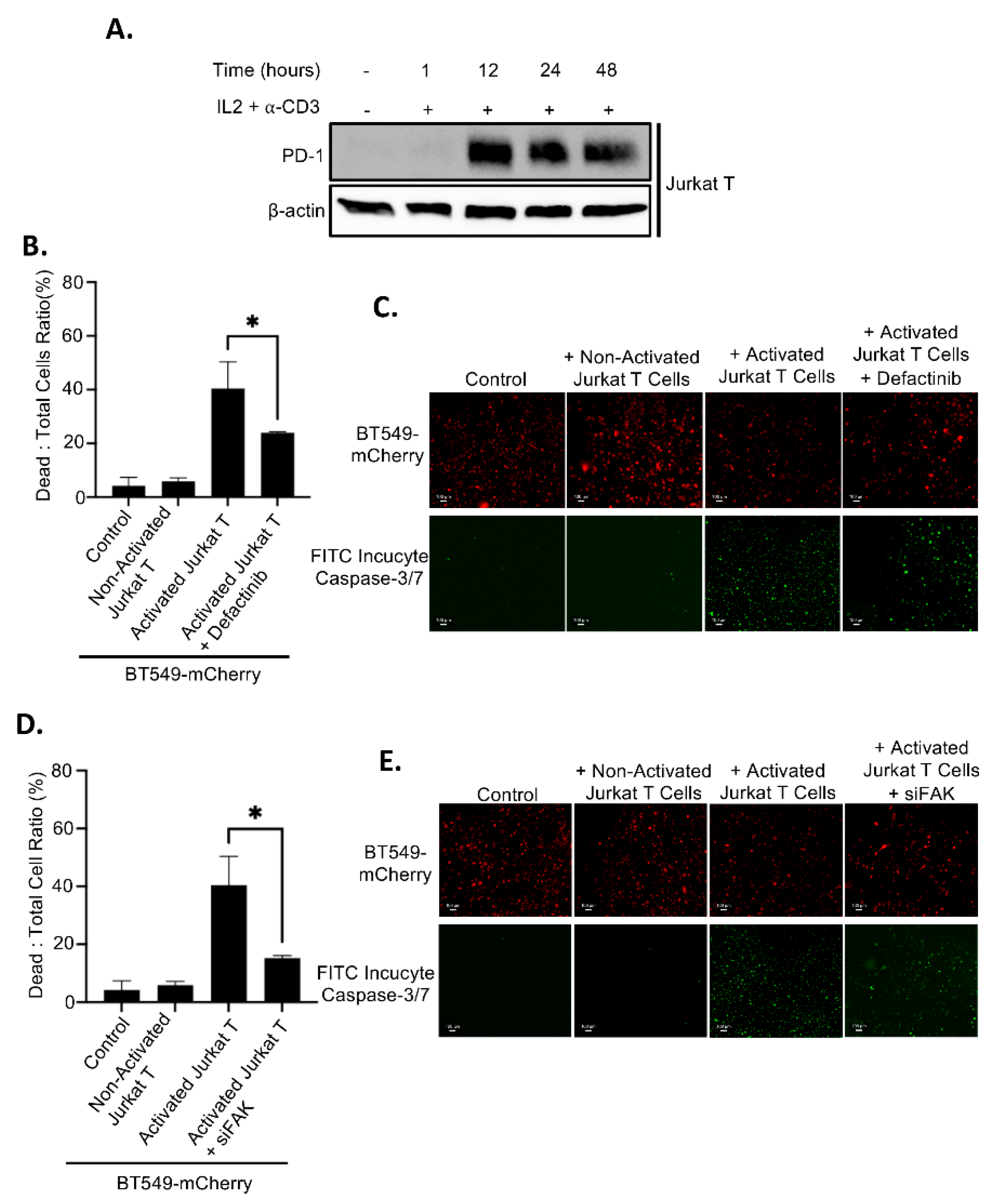 Preprints 170789 g008