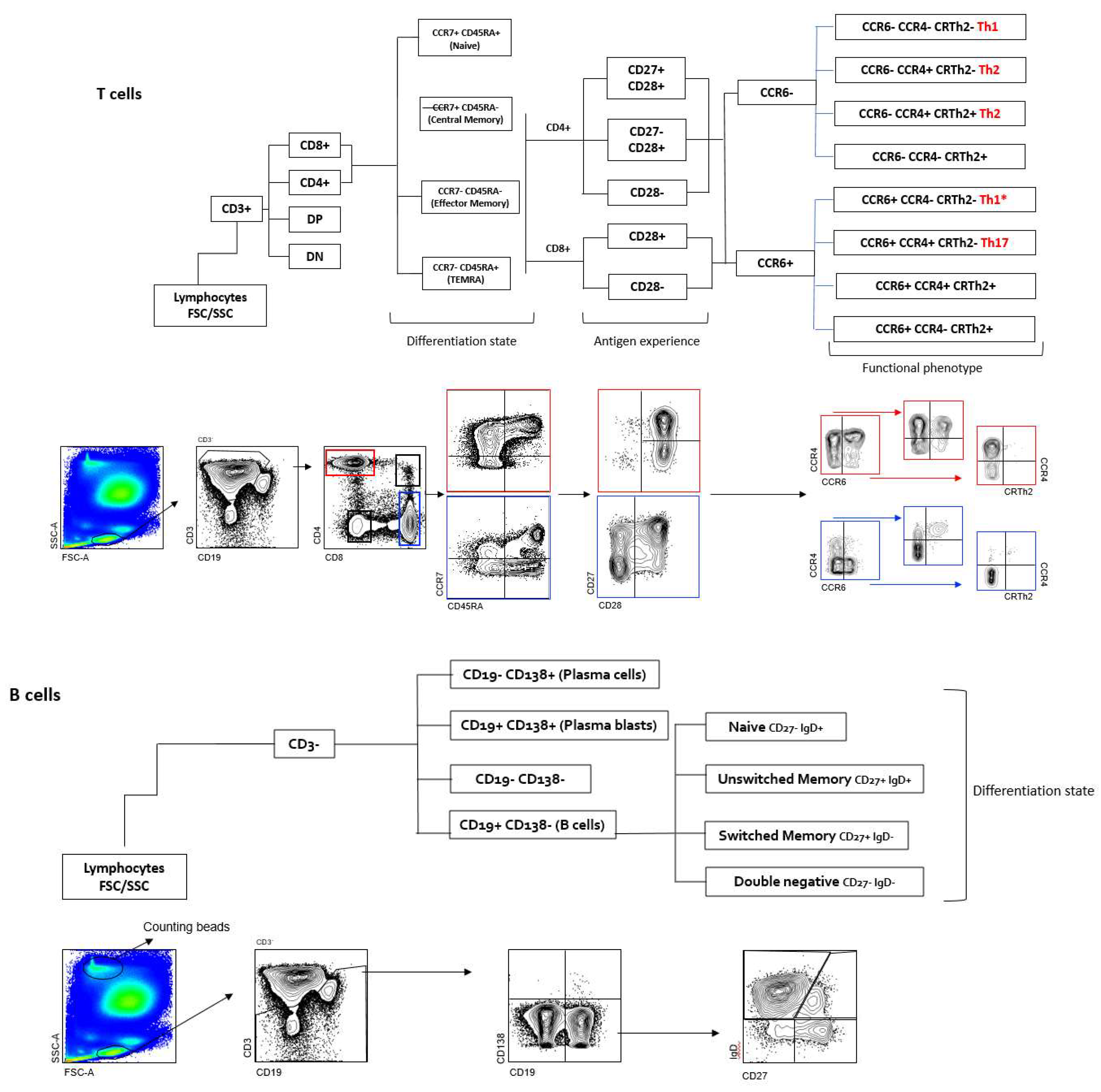 Preprints 146281 g001