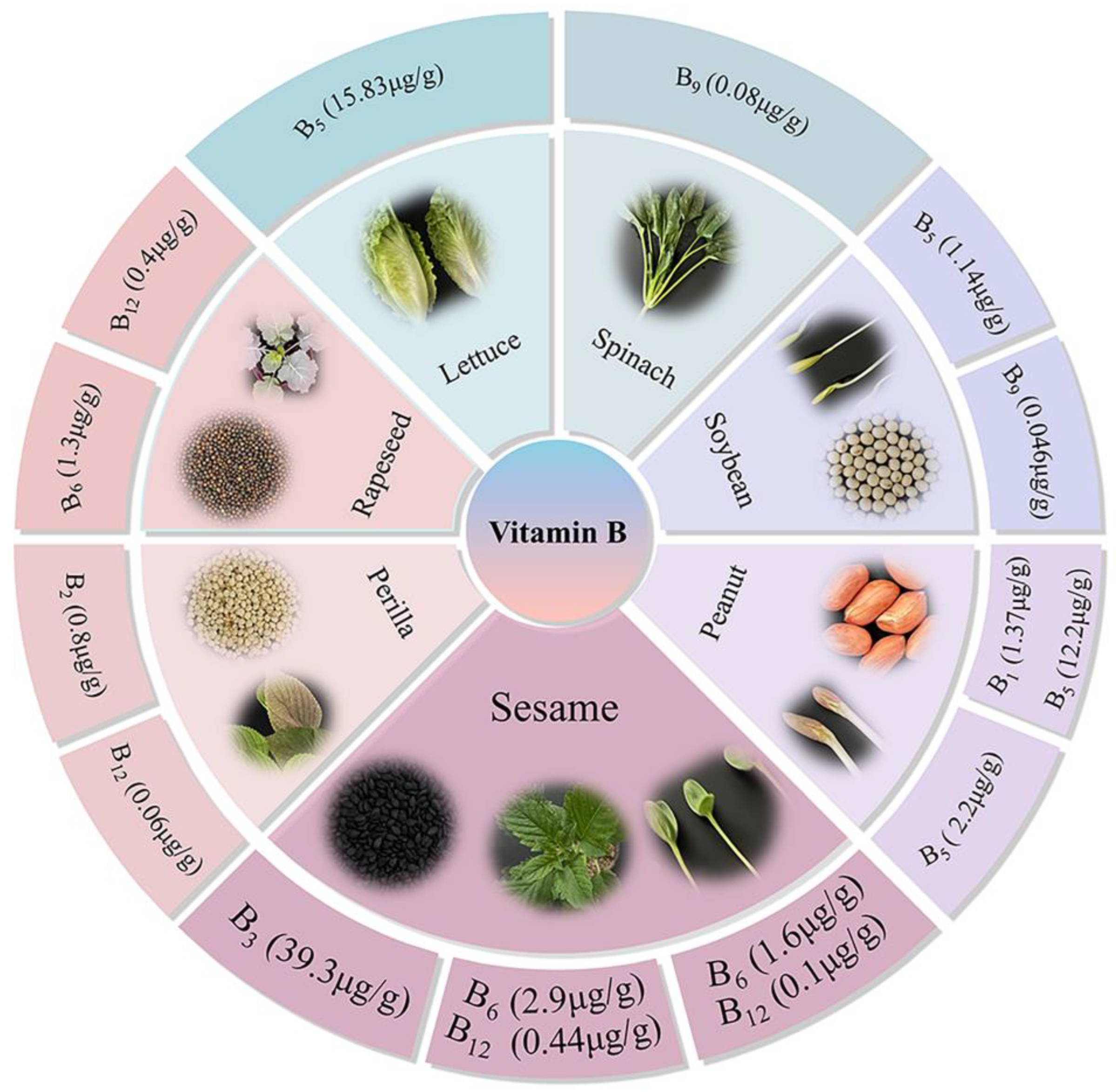 Preprints 192837 g006