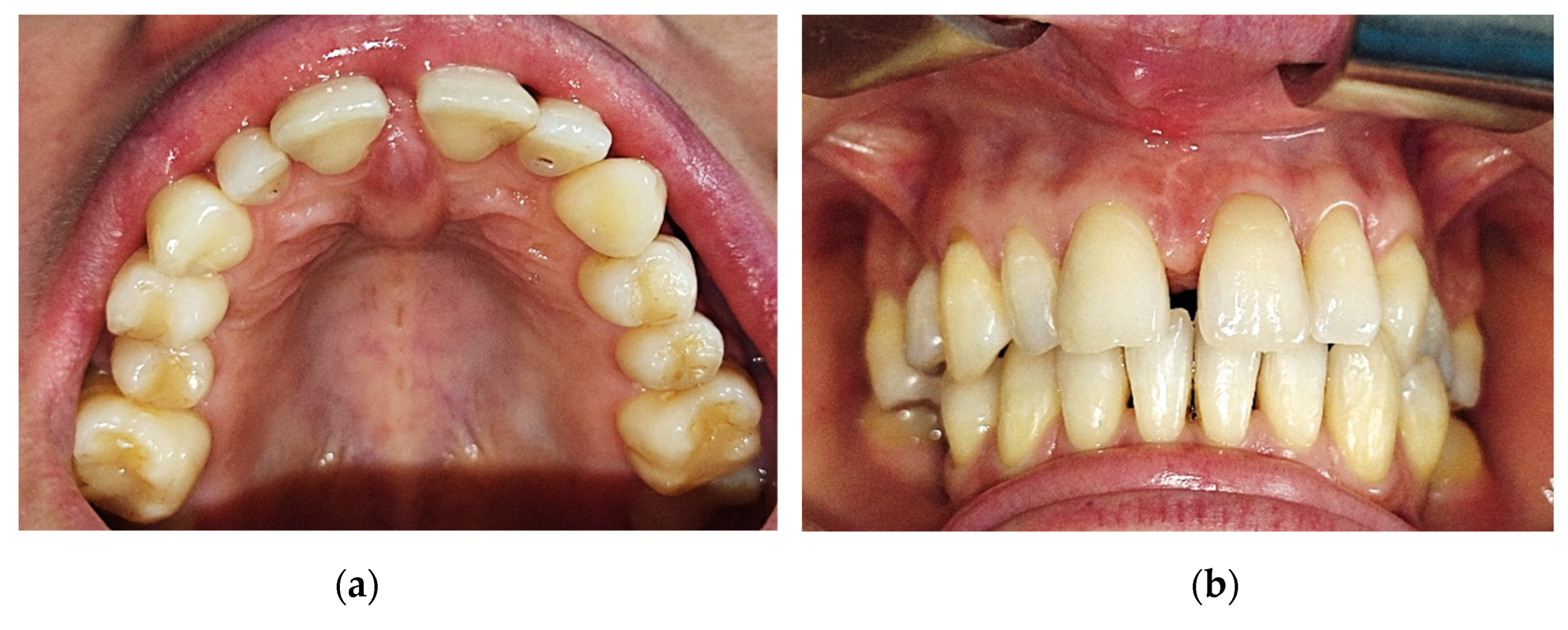 Preprints 76743 g001