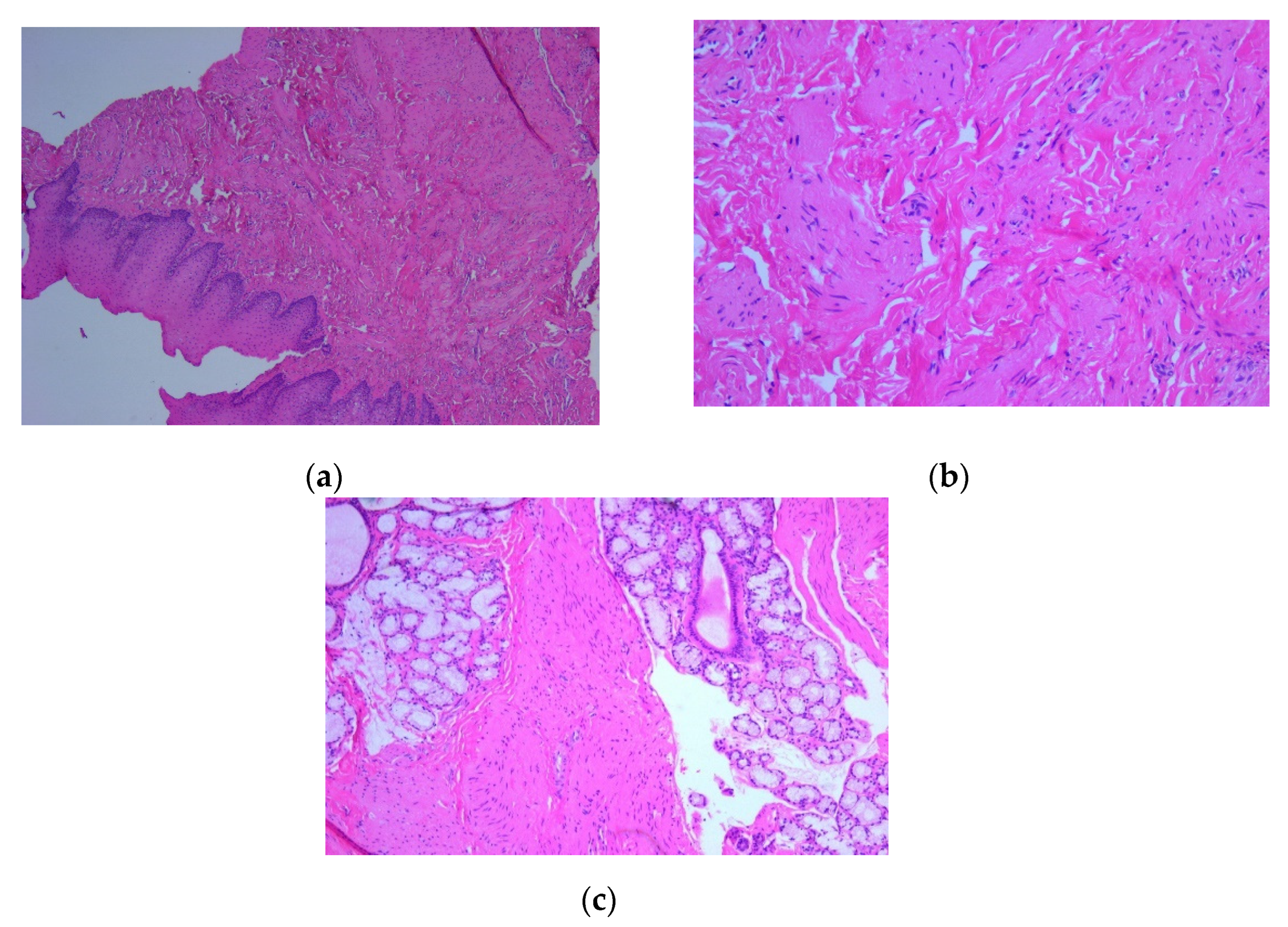 Preprints 76743 g003