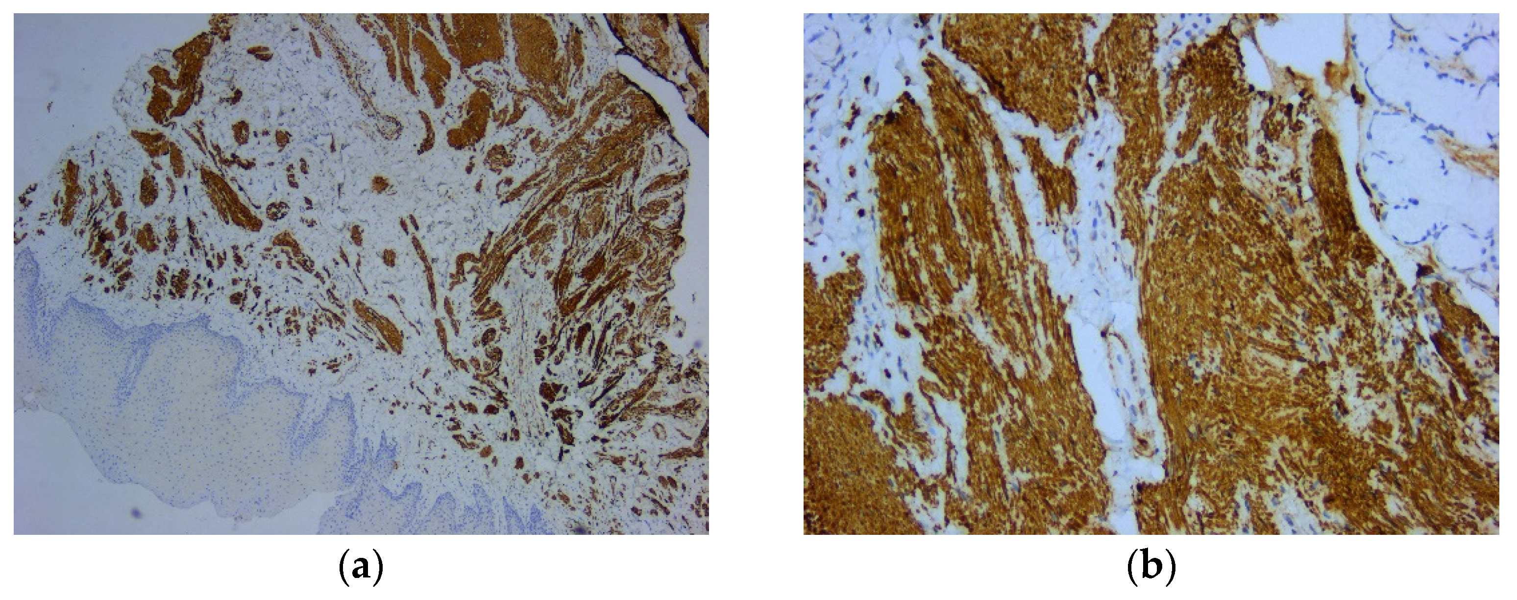 Preprints 76743 g004