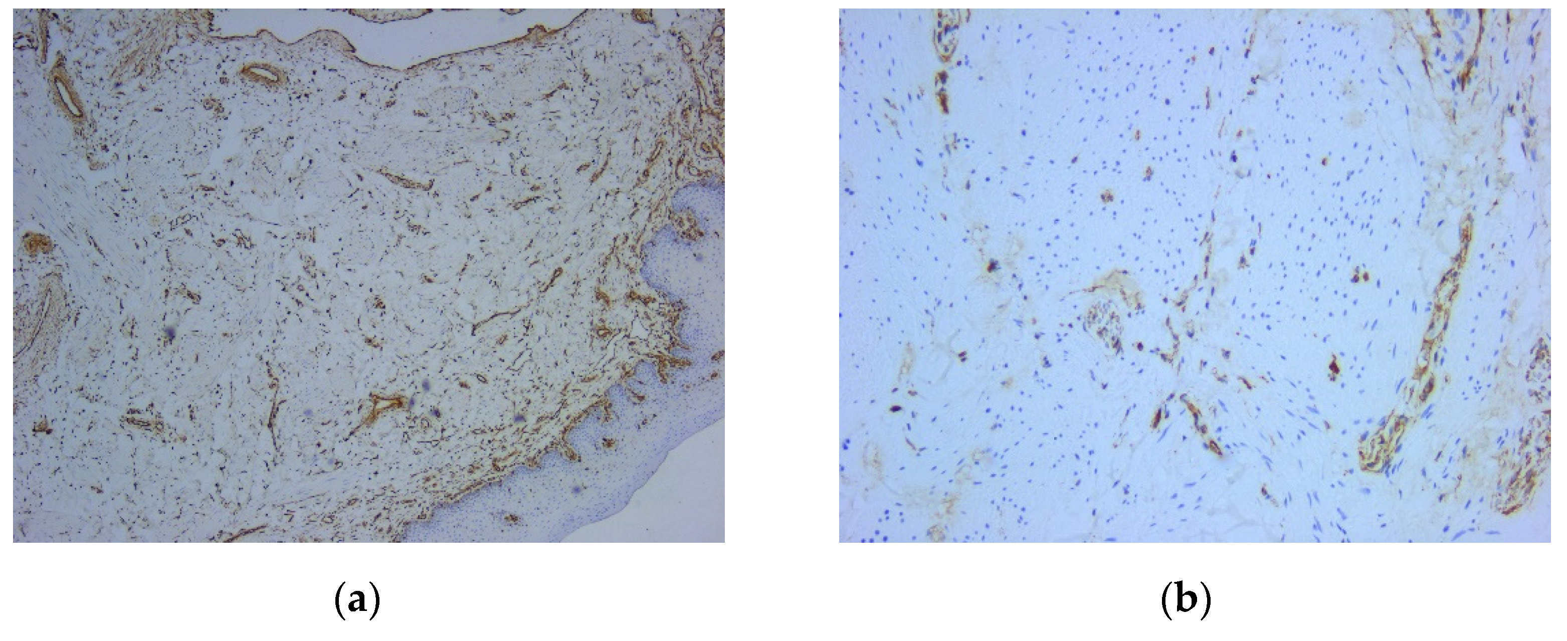 Preprints 76743 g006