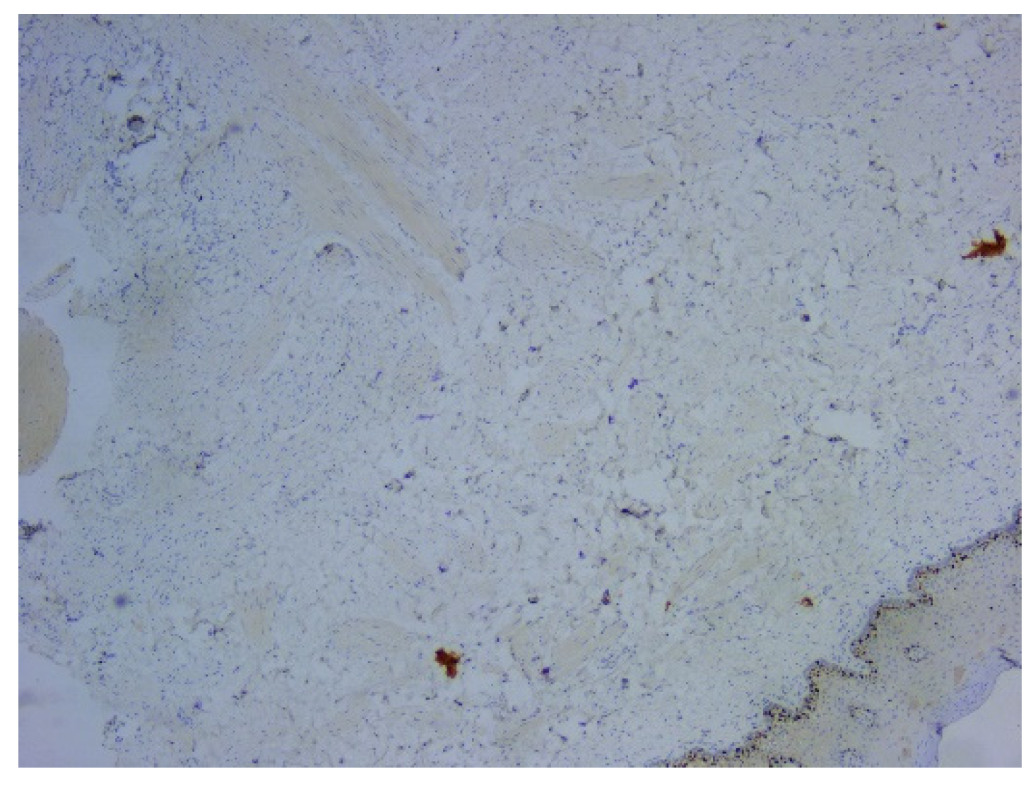 Preprints 76743 g007