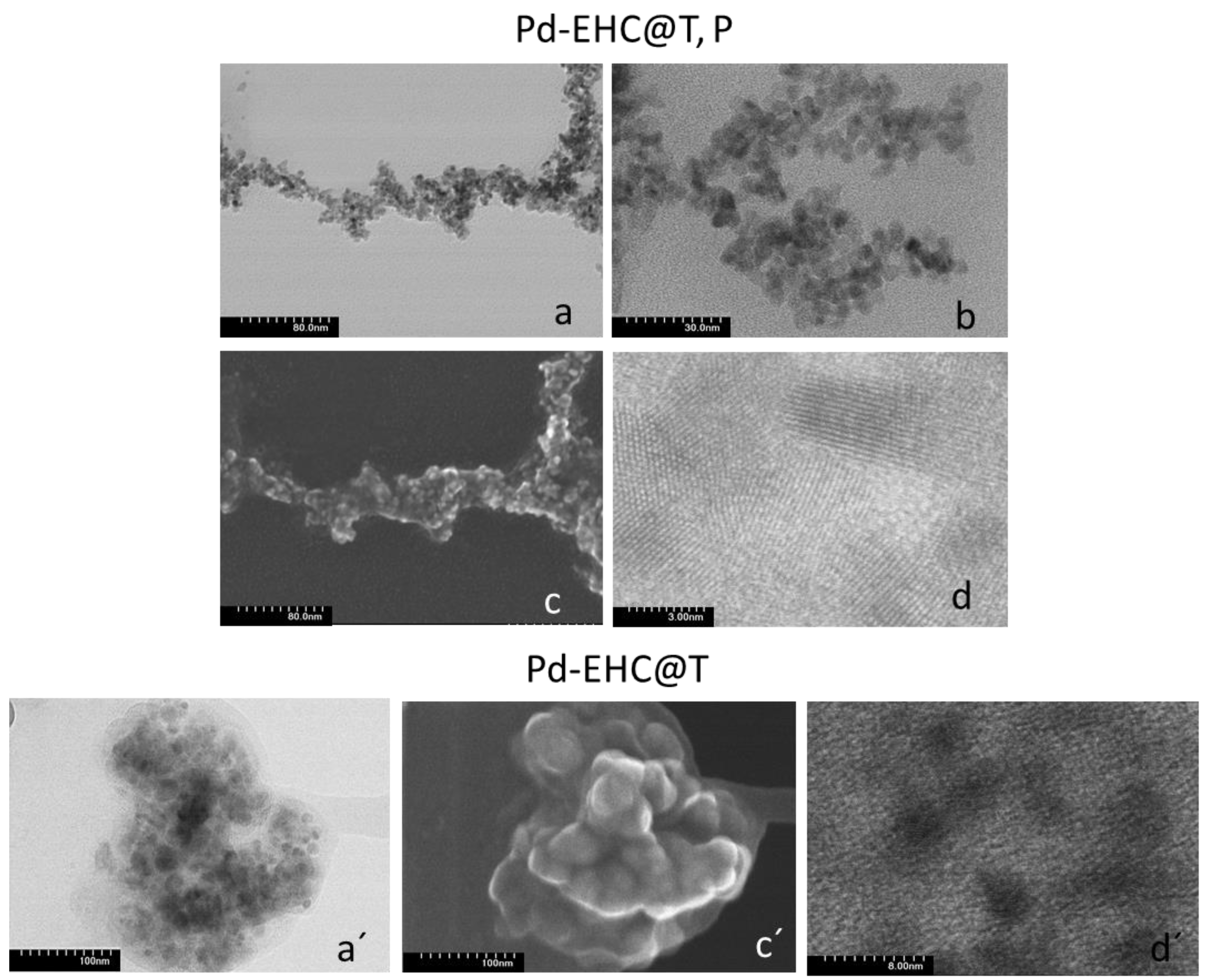 Preprints 198712 g005