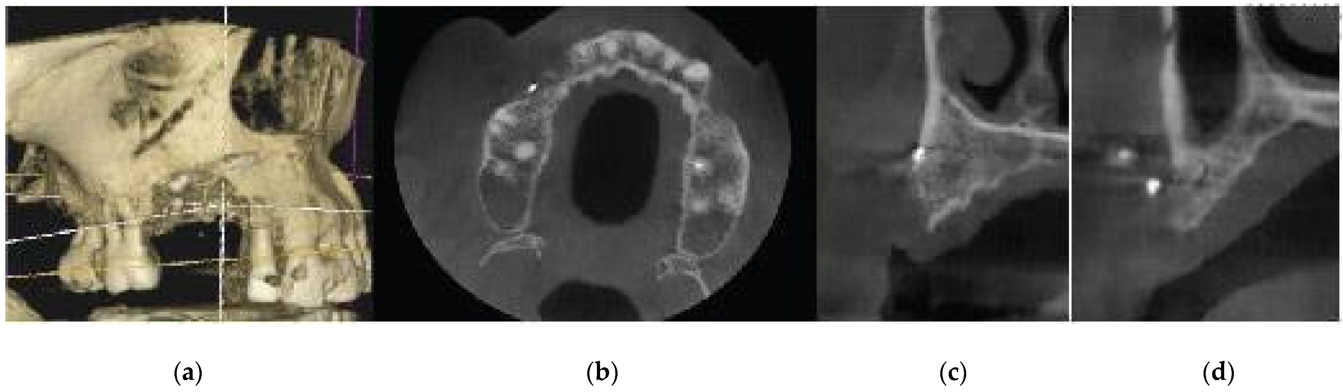 Preprints 87073 g001
