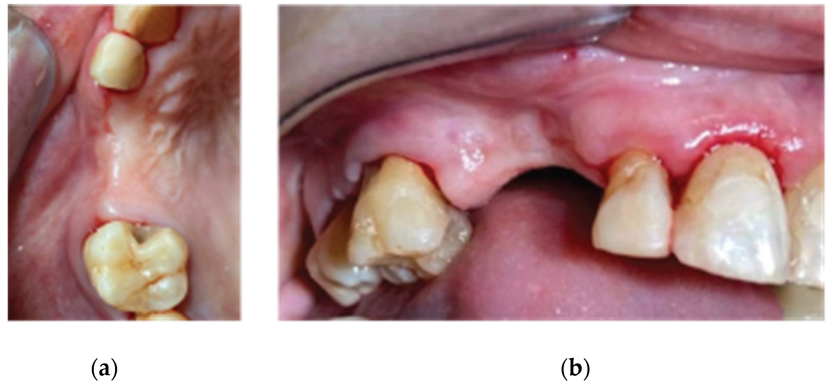 Preprints 87073 g002
