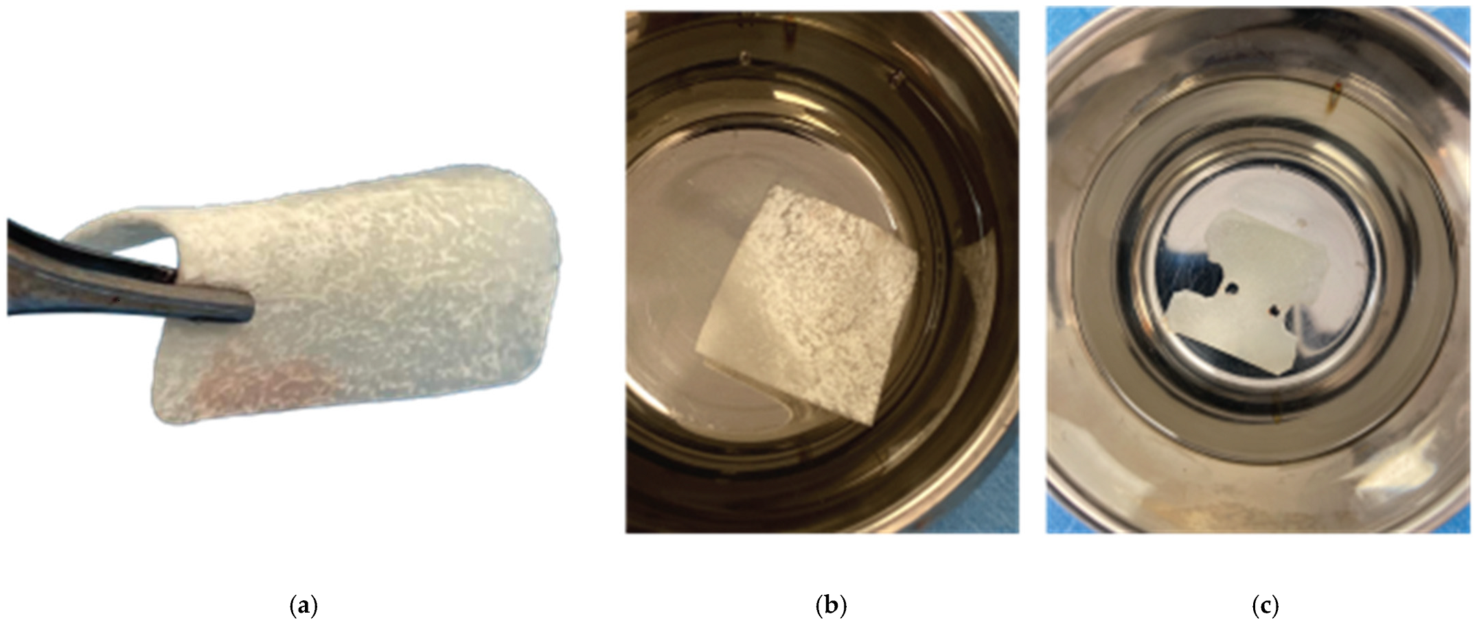 Preprints 87073 g007