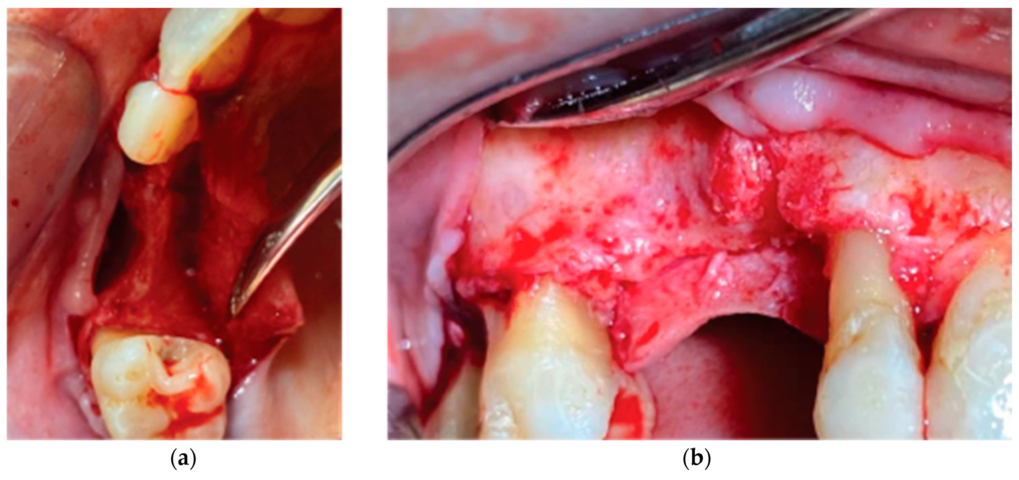 Preprints 87073 g008
