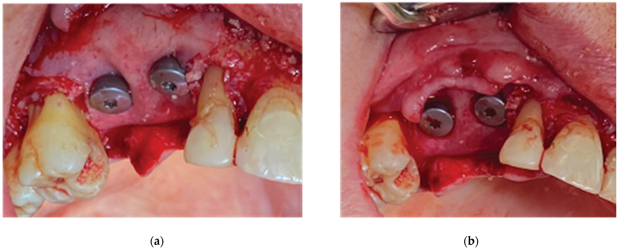 Preprints 87073 g009