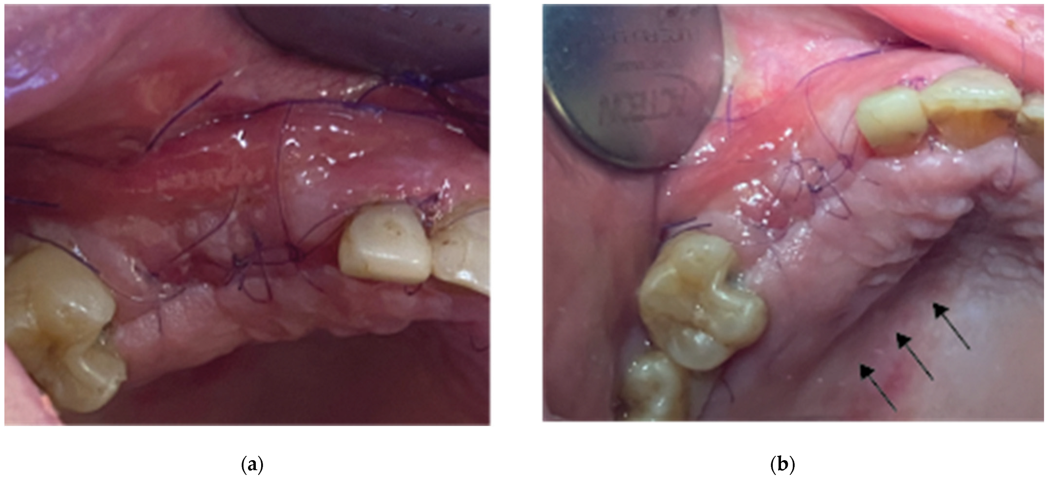 Preprints 87073 g010