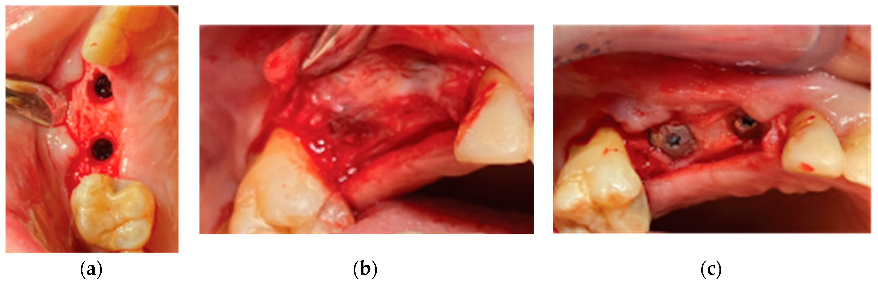Preprints 87073 g014