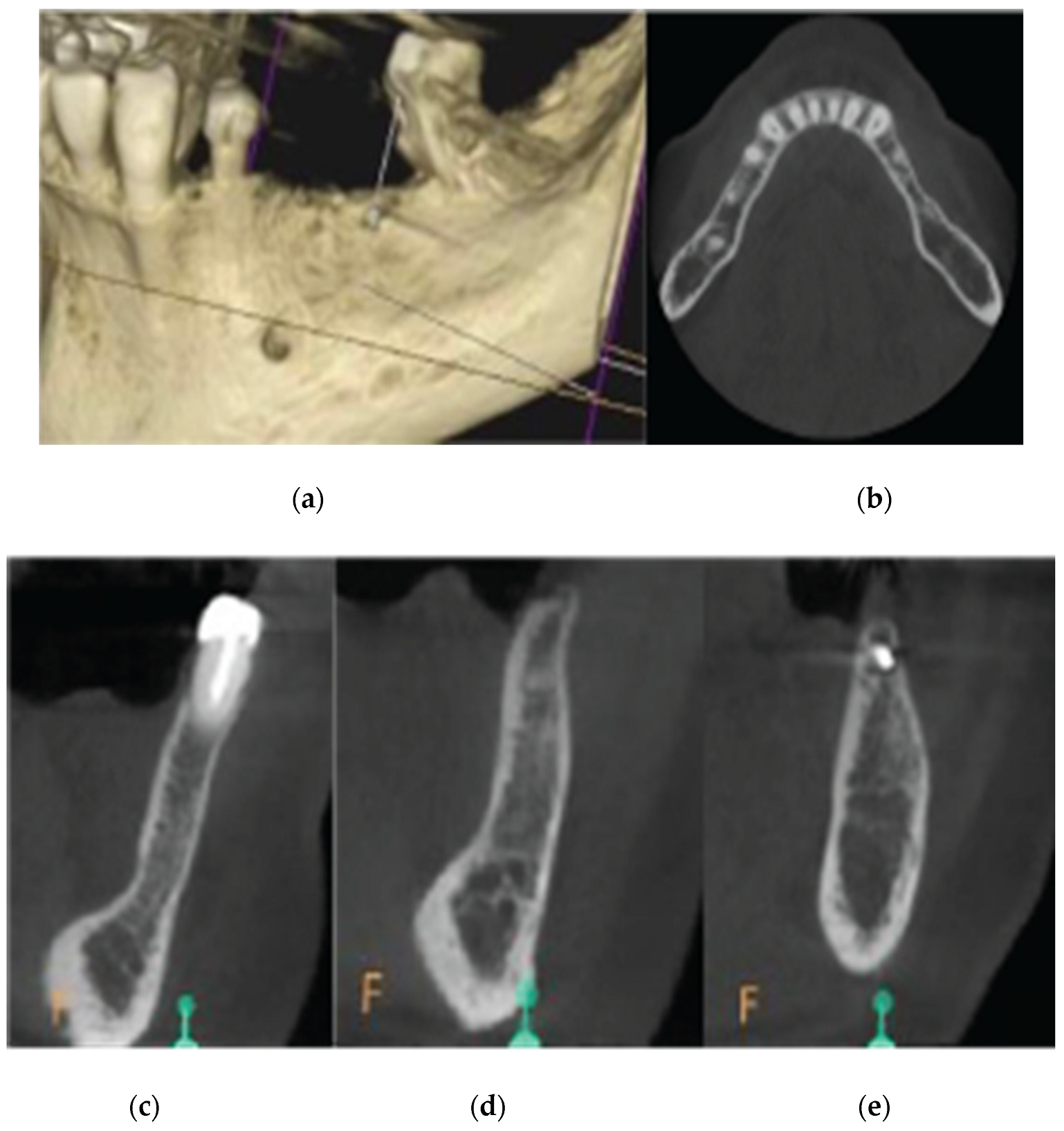 Preprints 87073 g016