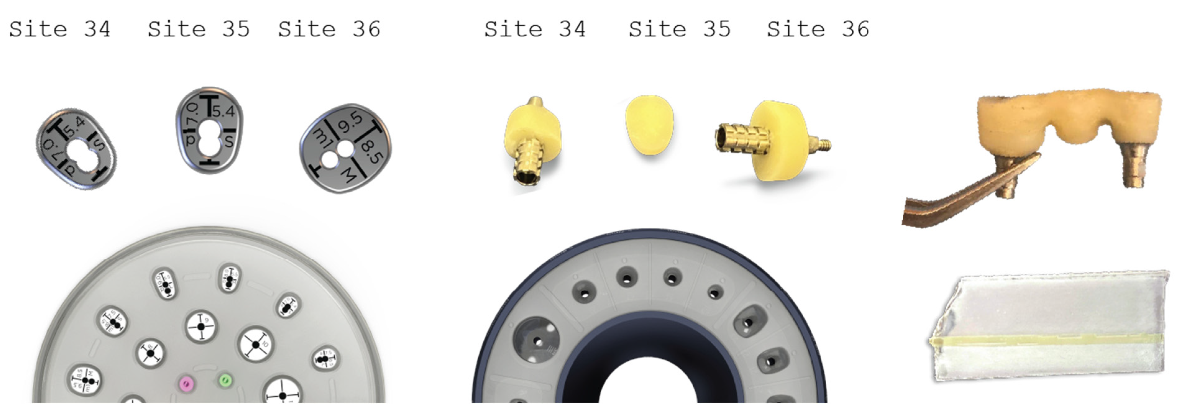 Preprints 87073 g019