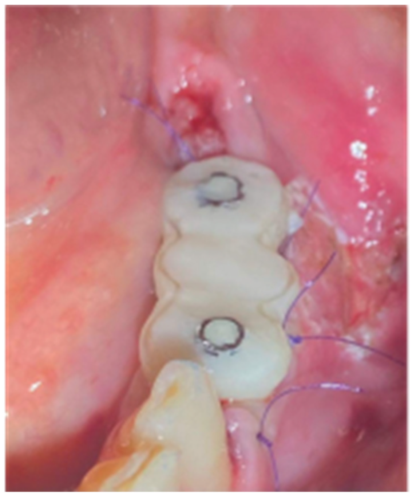 Preprints 87073 g020