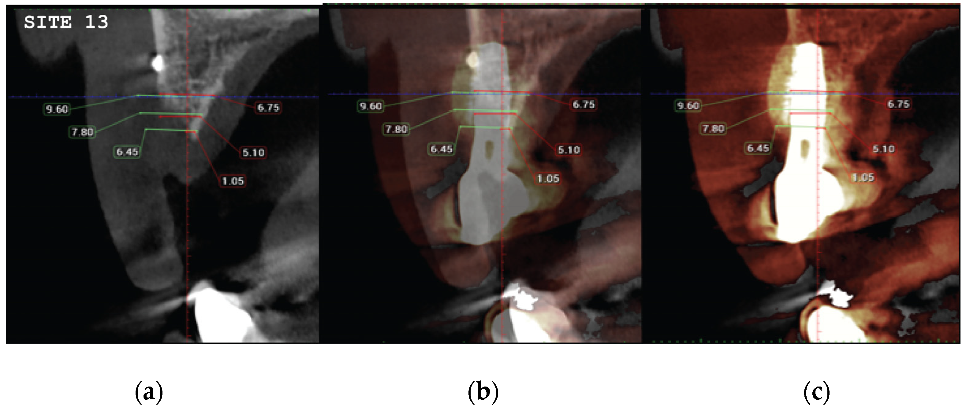 Preprints 87073 g021a