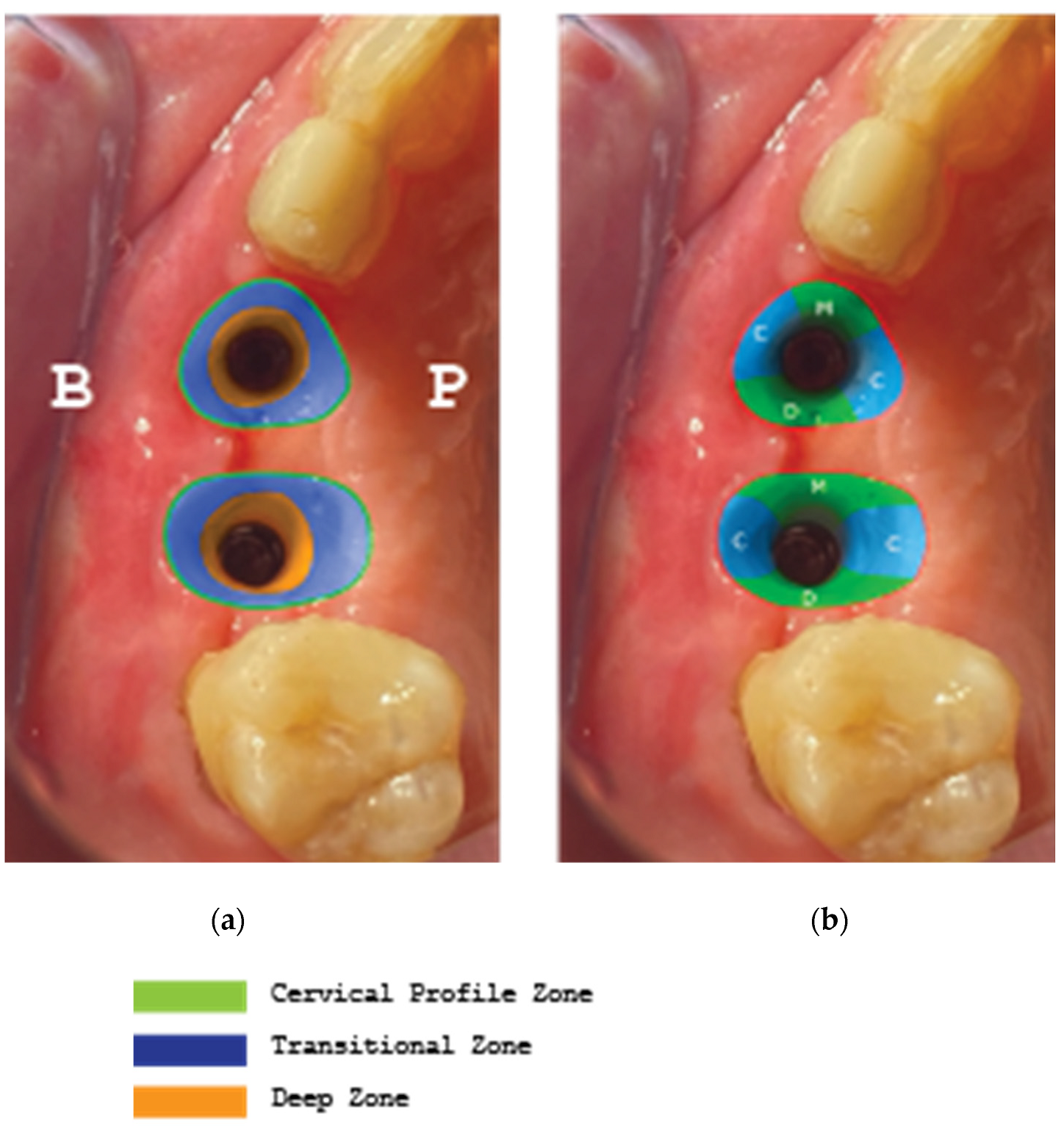 Preprints 87073 g026