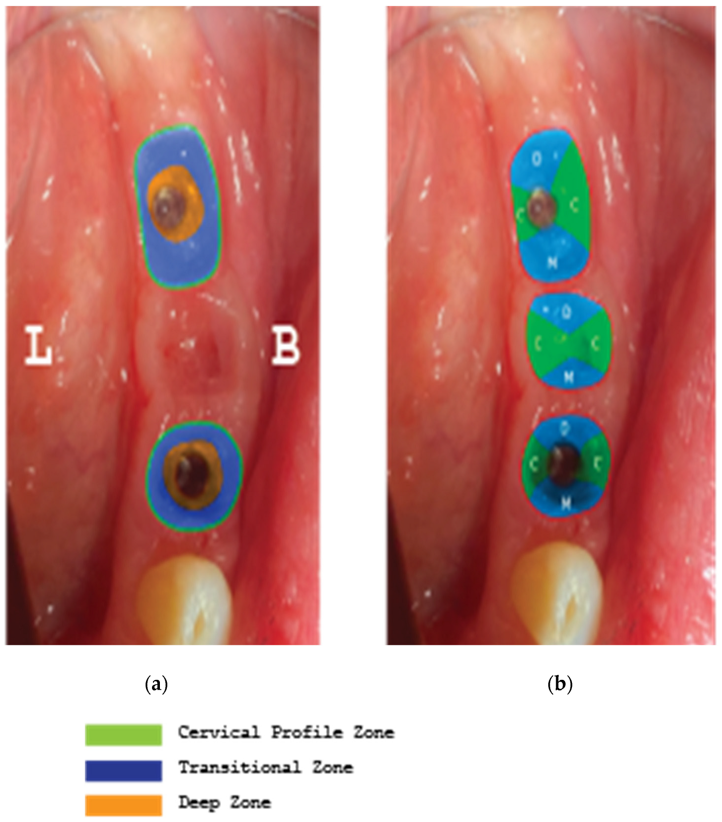 Preprints 87073 g027