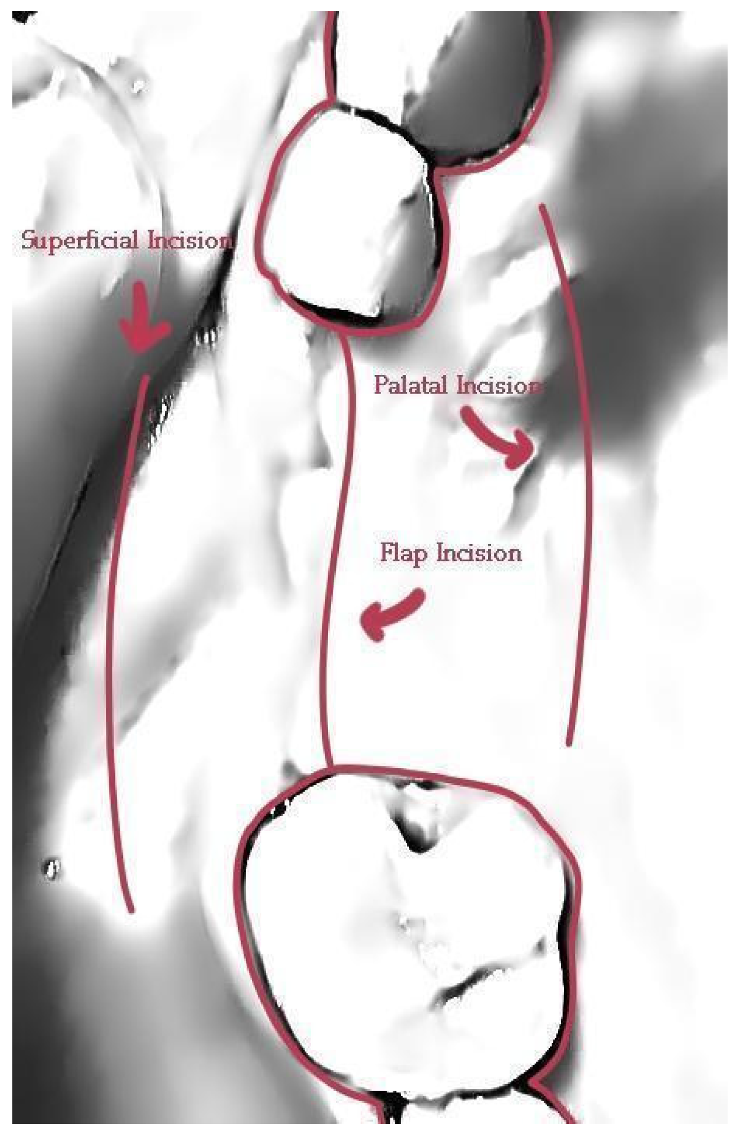 Preprints 87073 g029