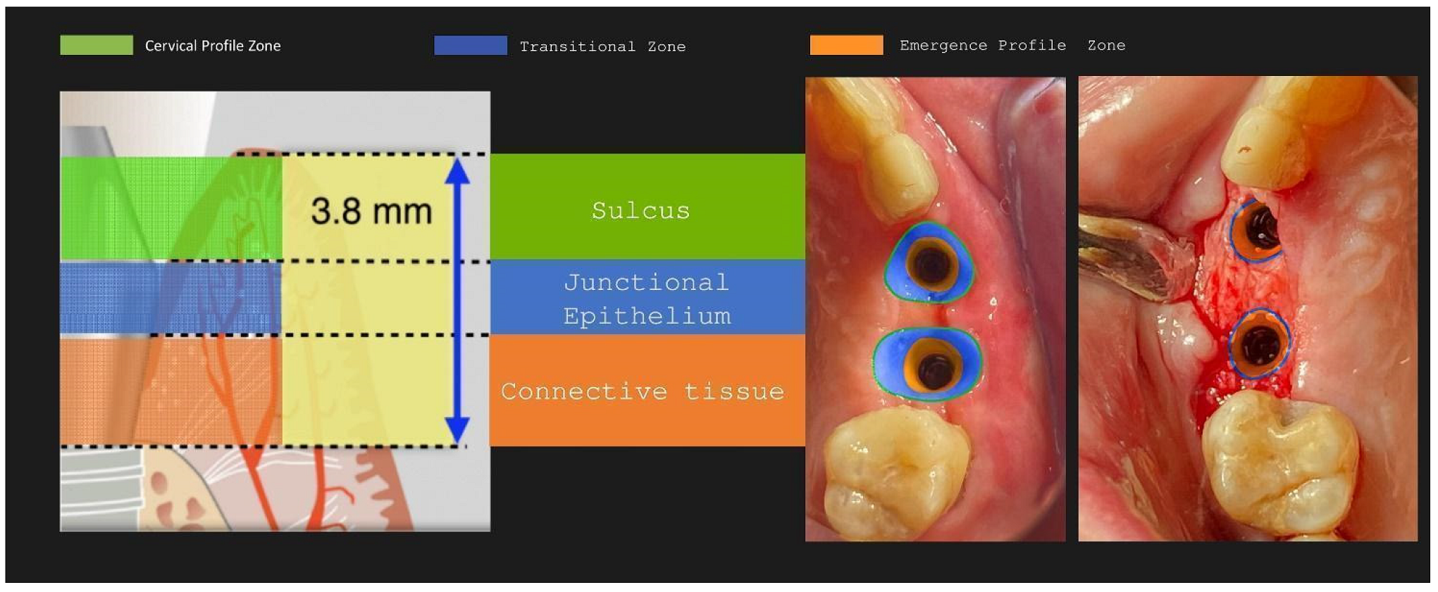 Preprints 87073 g031