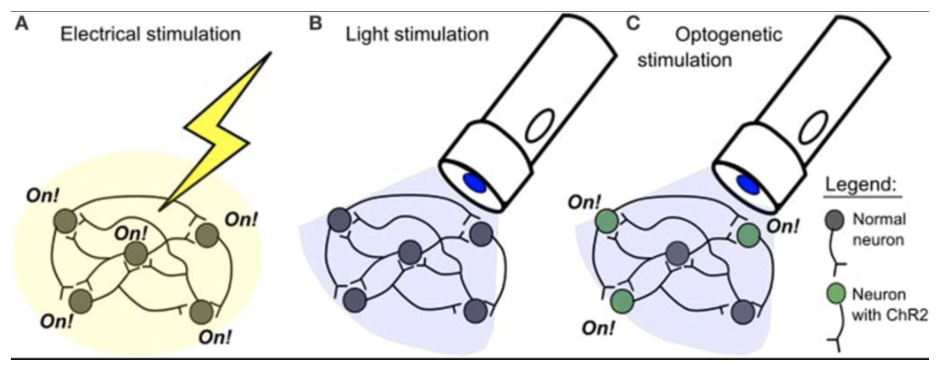 Preprints 164936 g002
