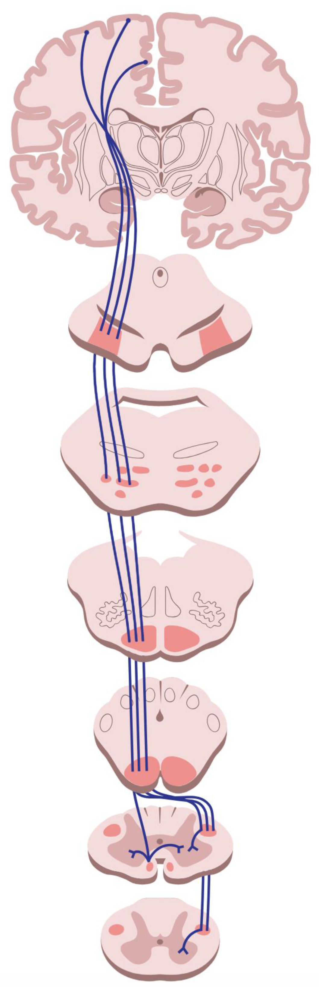 Preprints 164936 g003