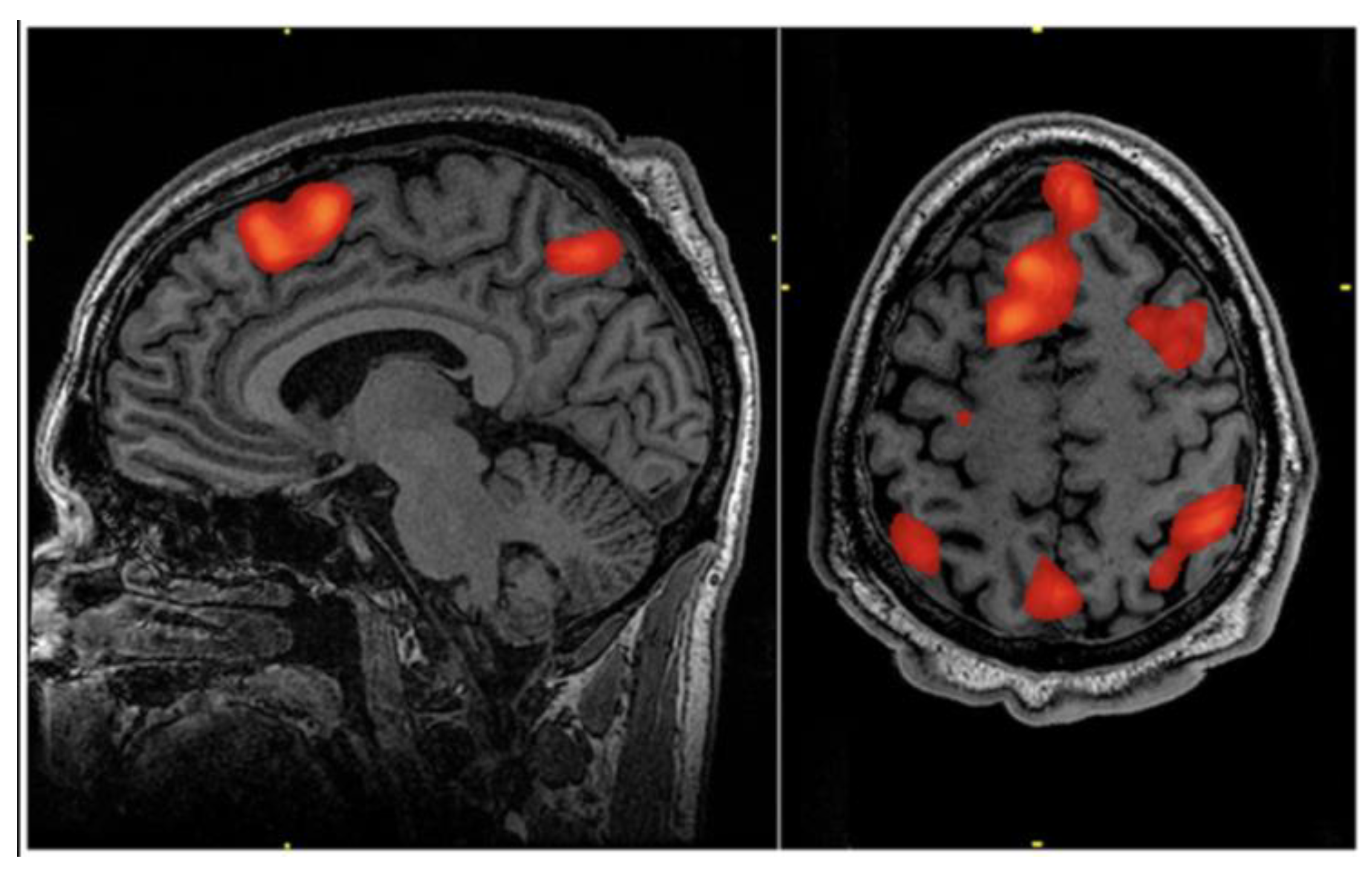 Preprints 164936 g004