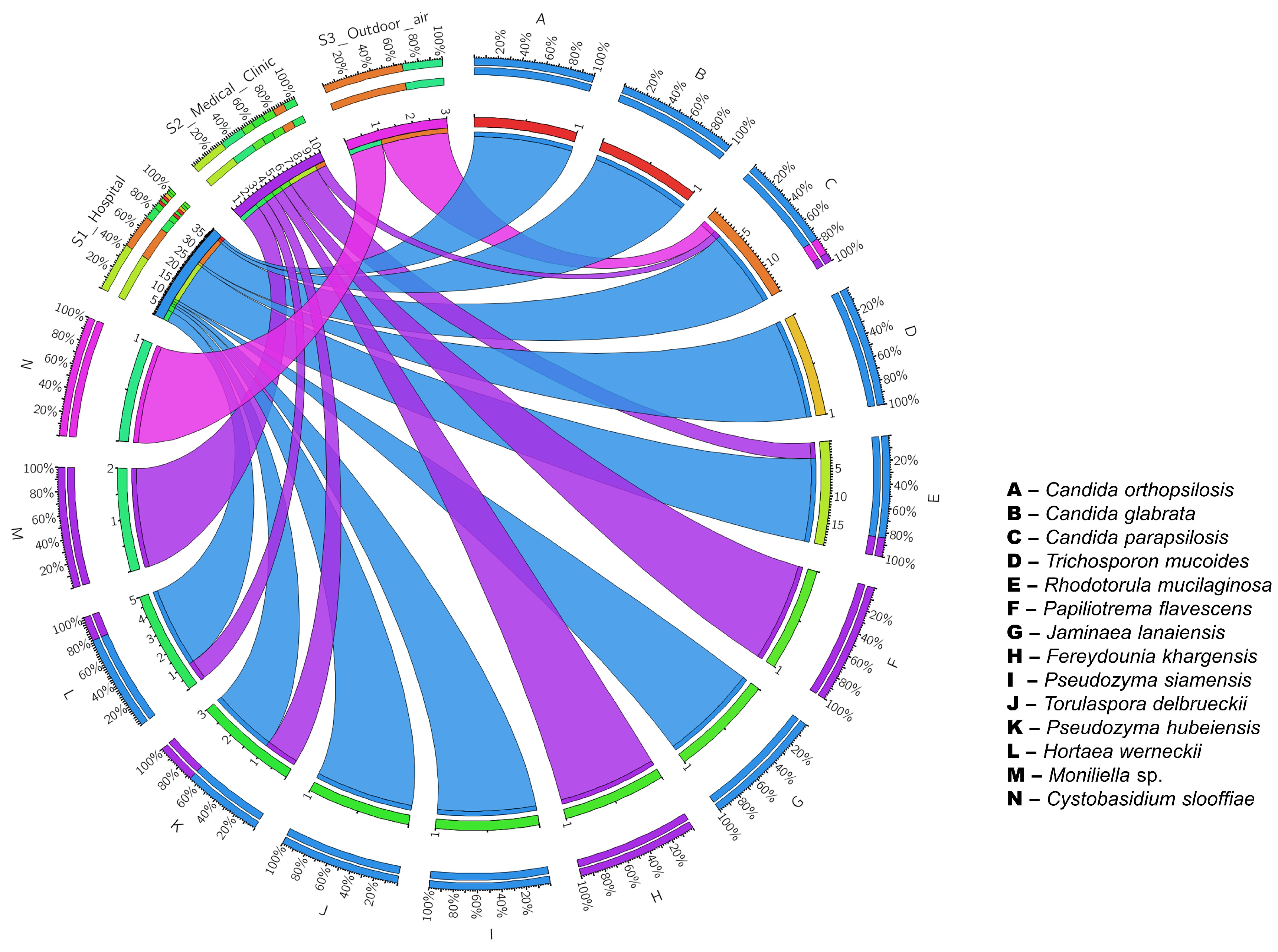 Preprints 80406 g001