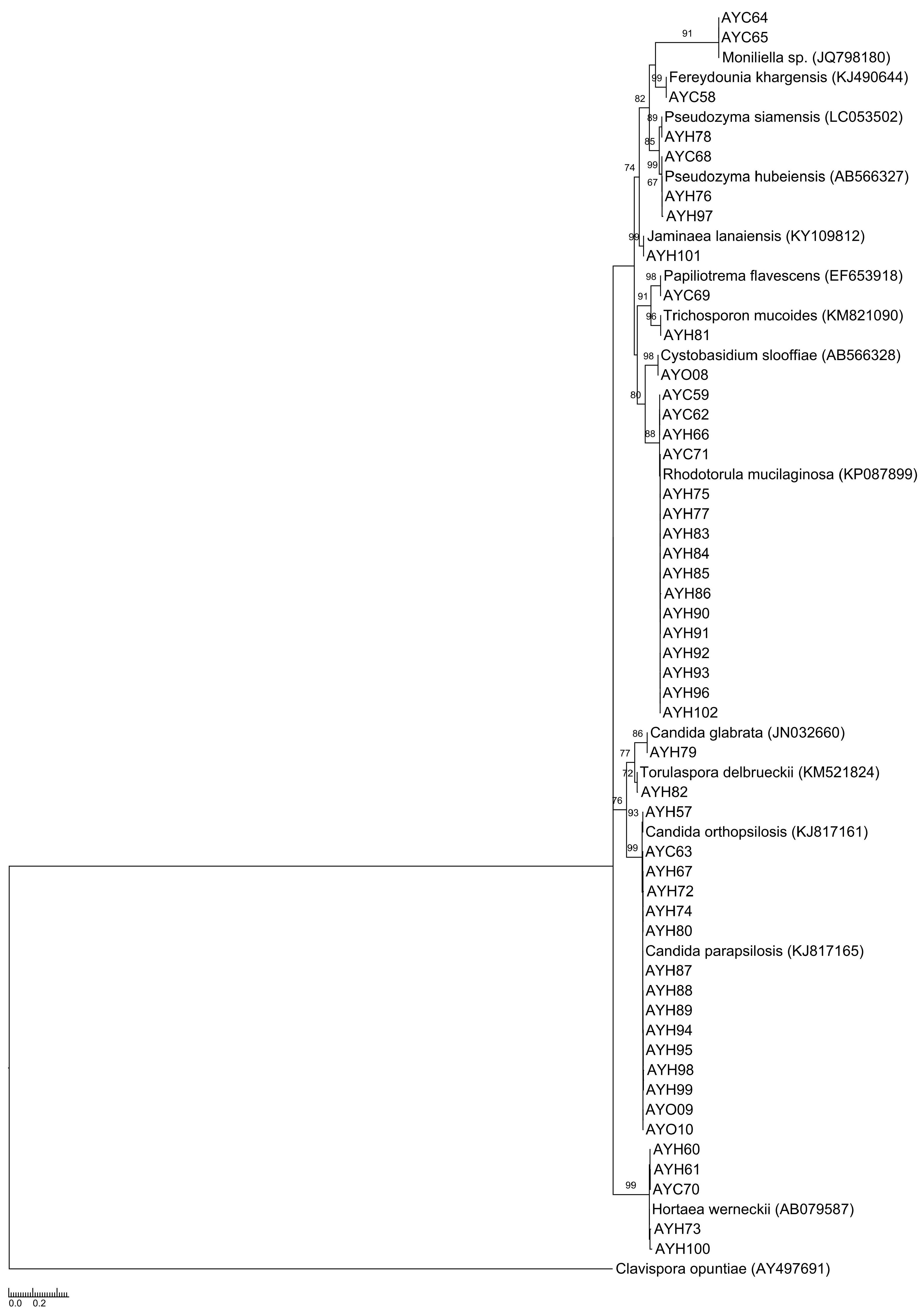 Preprints 80406 g002