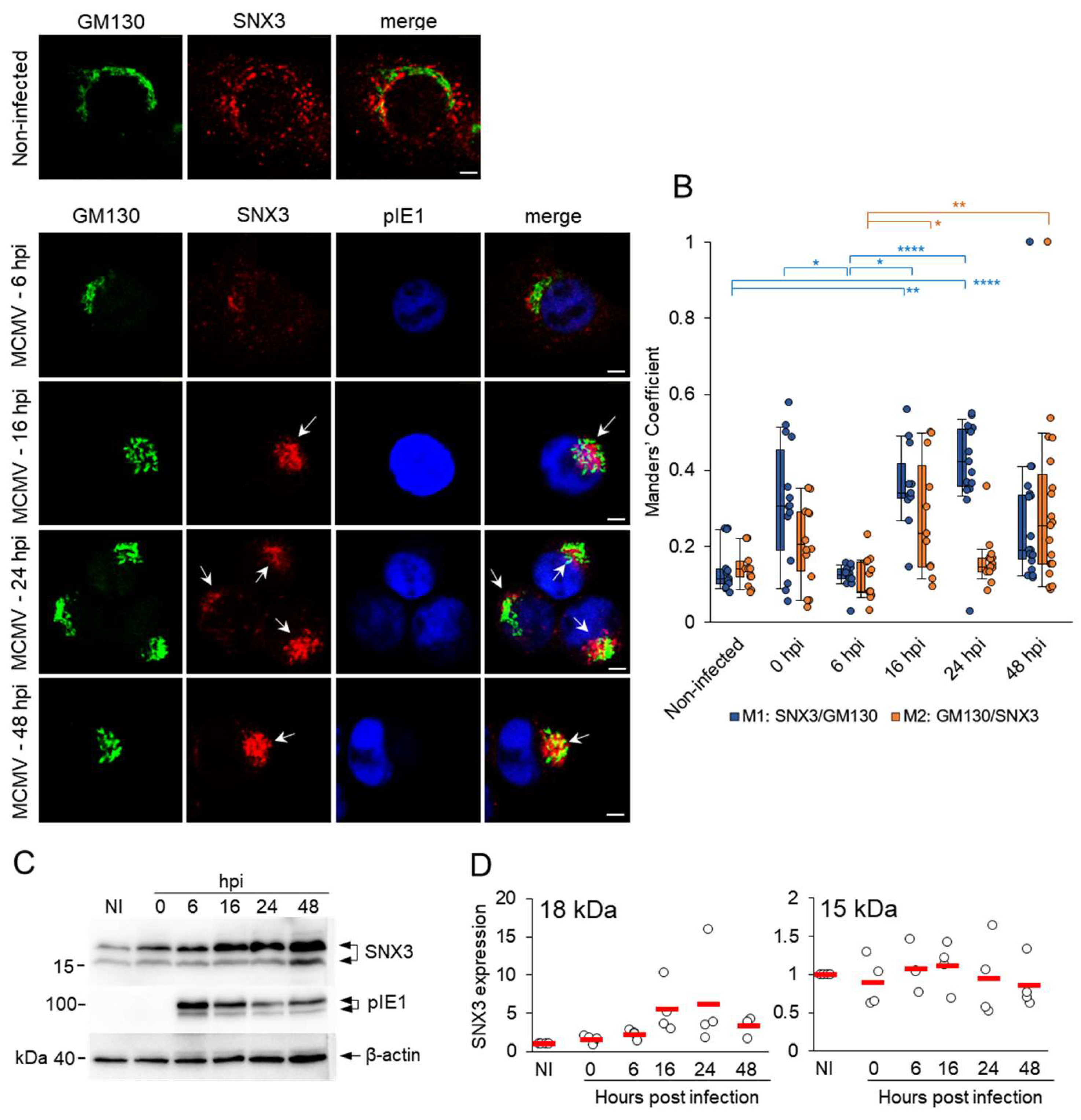 Preprints 150637 g001