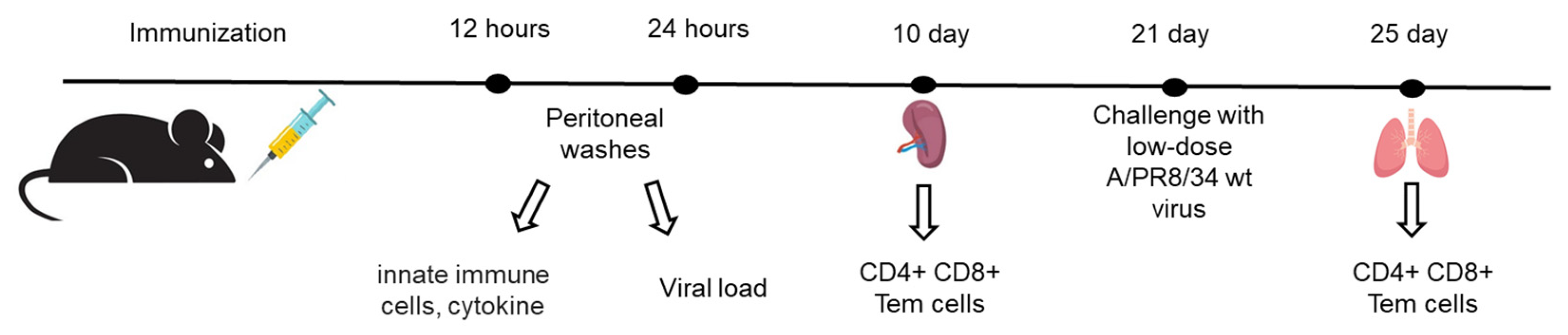Preprints 189302 g003