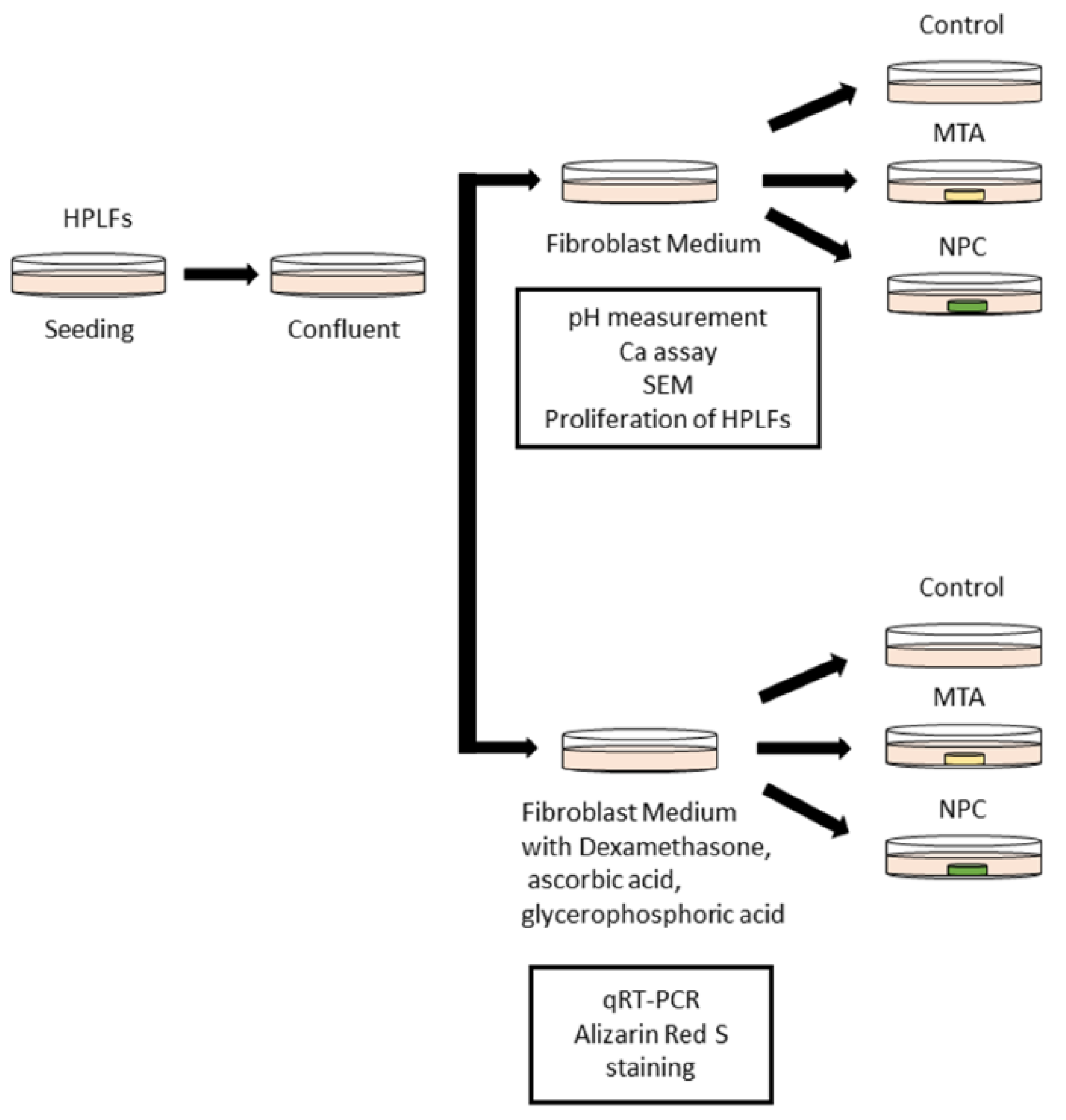 Preprints 75103 g001