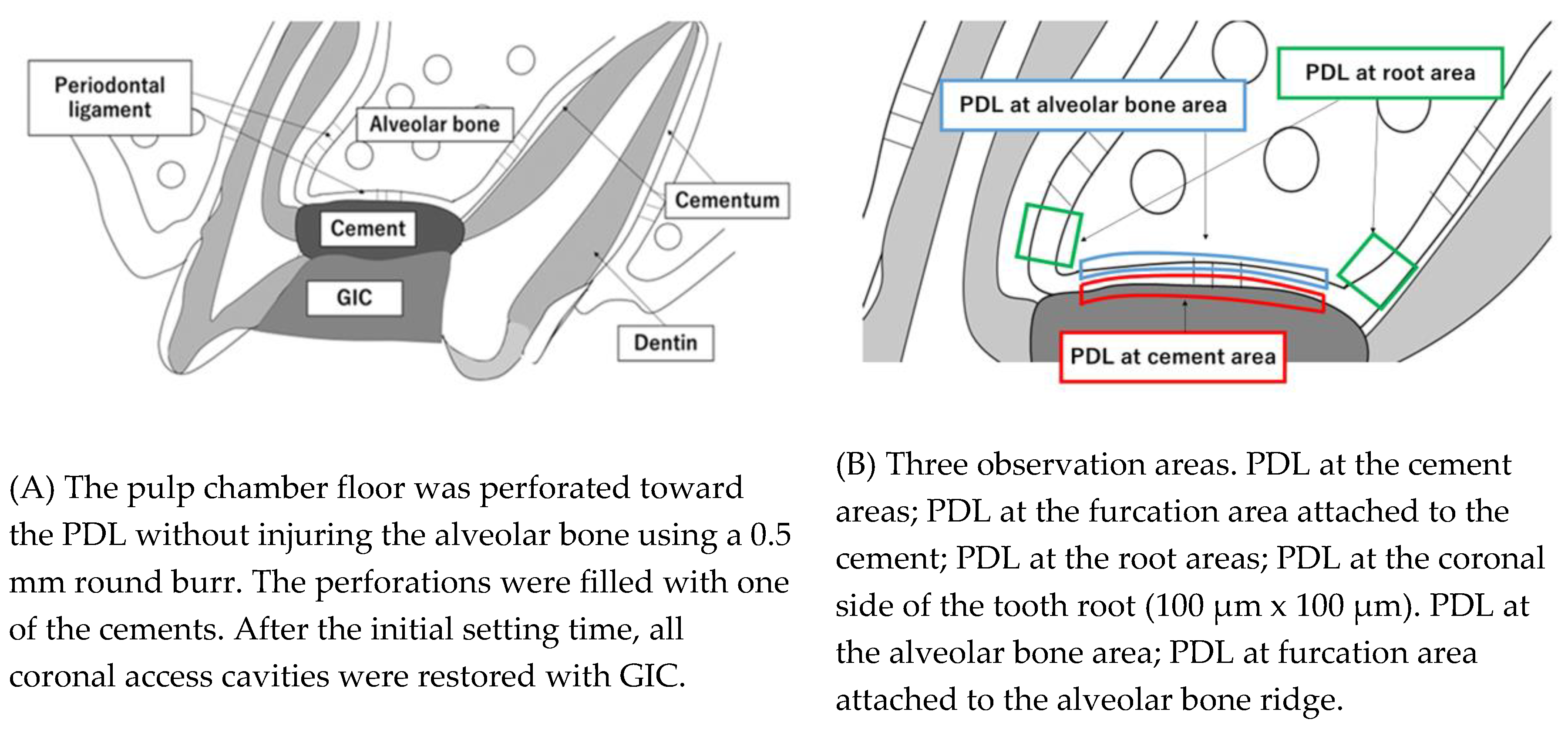 Preprints 75103 g002