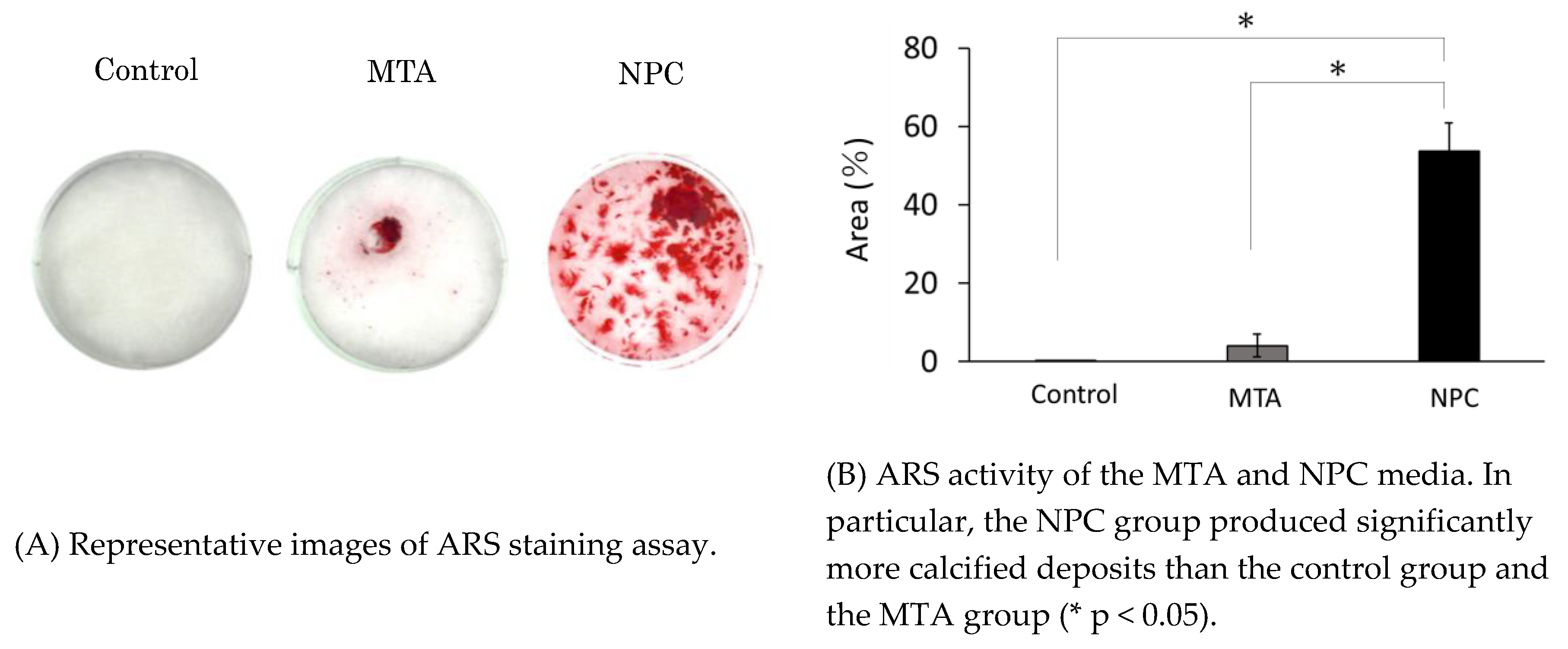 Preprints 75103 g007
