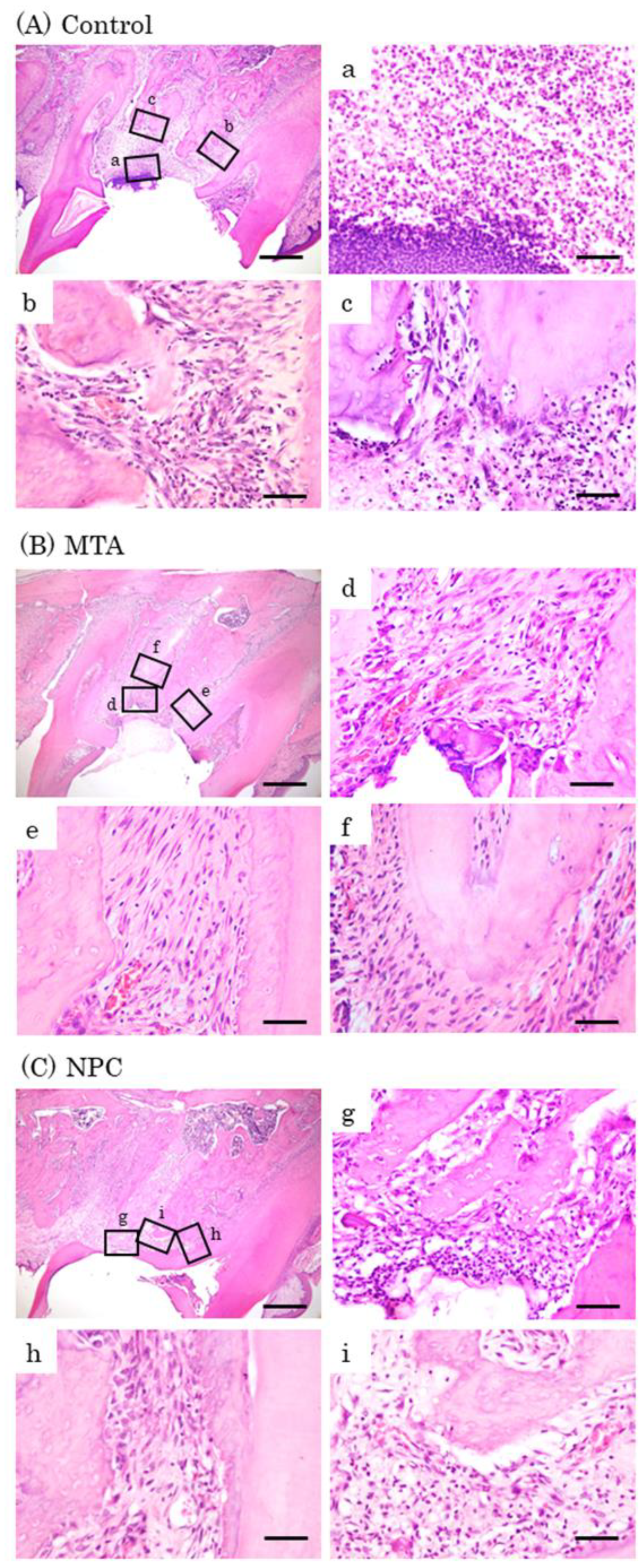 Preprints 75103 g008
