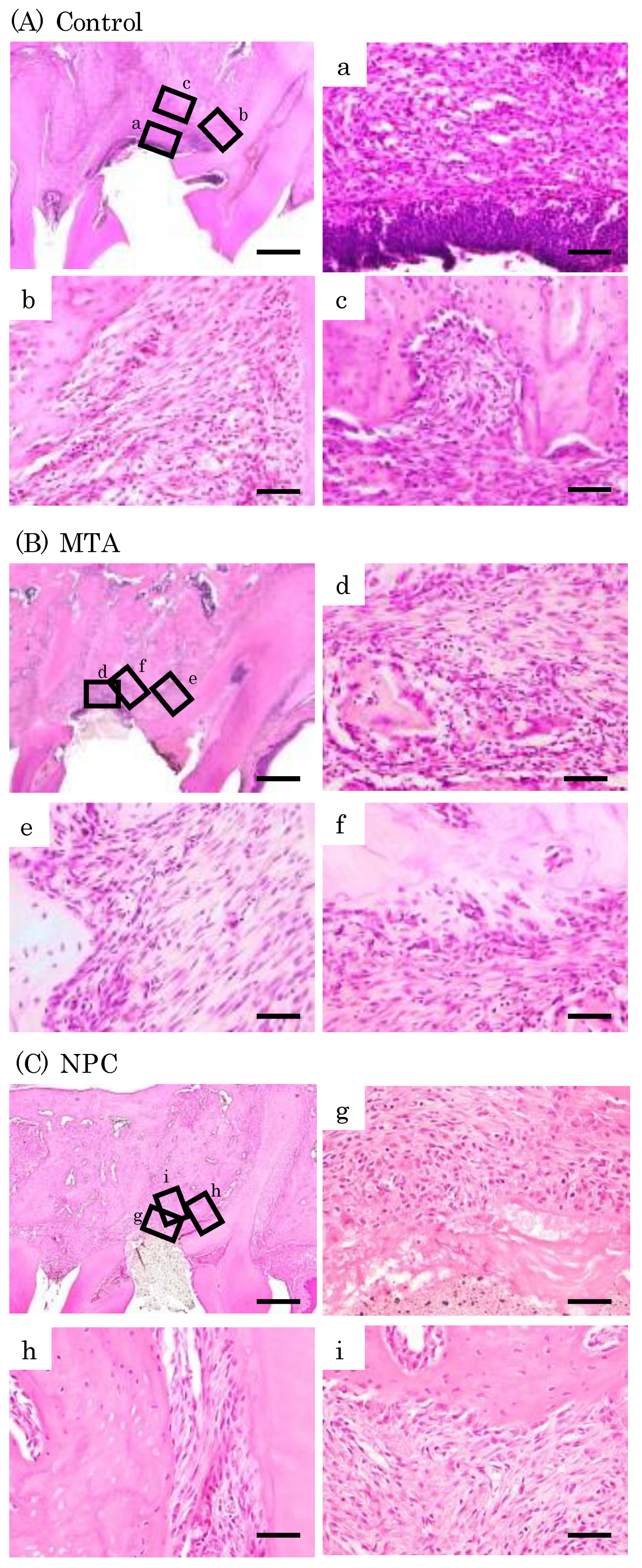 Preprints 75103 g009