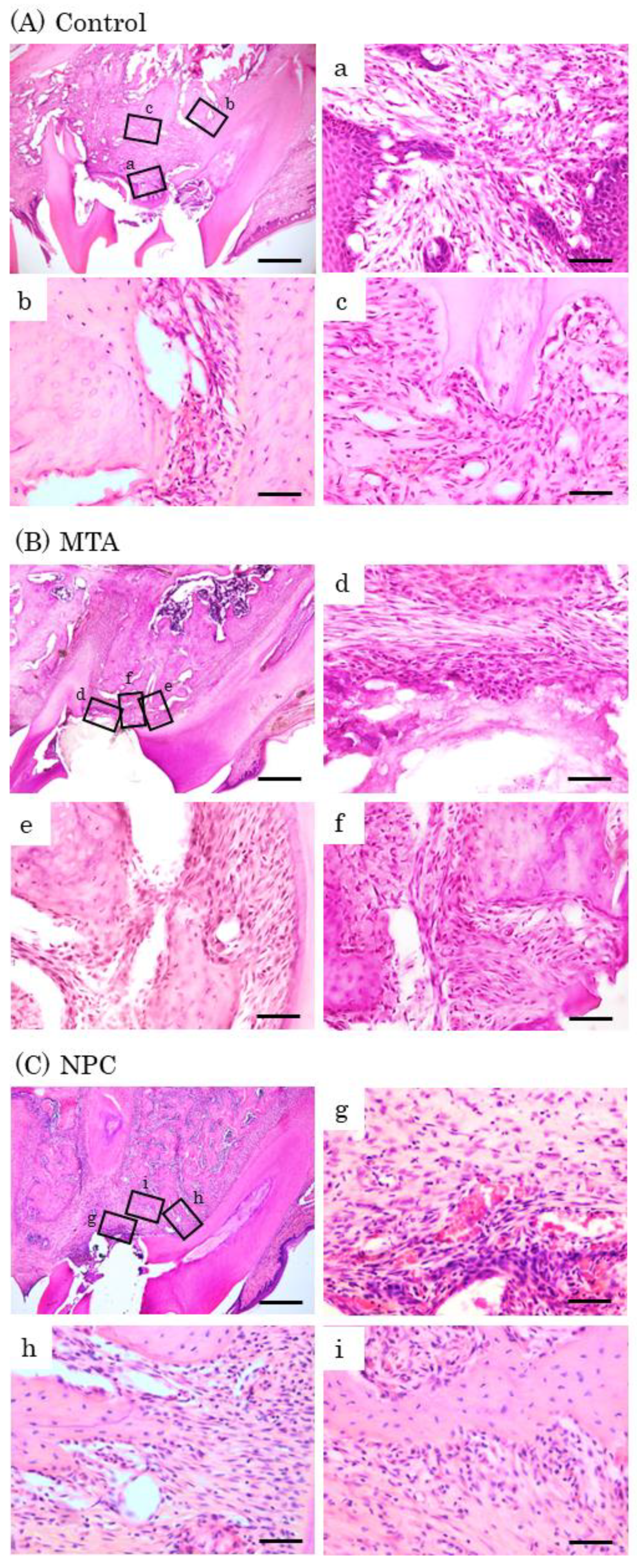 Preprints 75103 g010