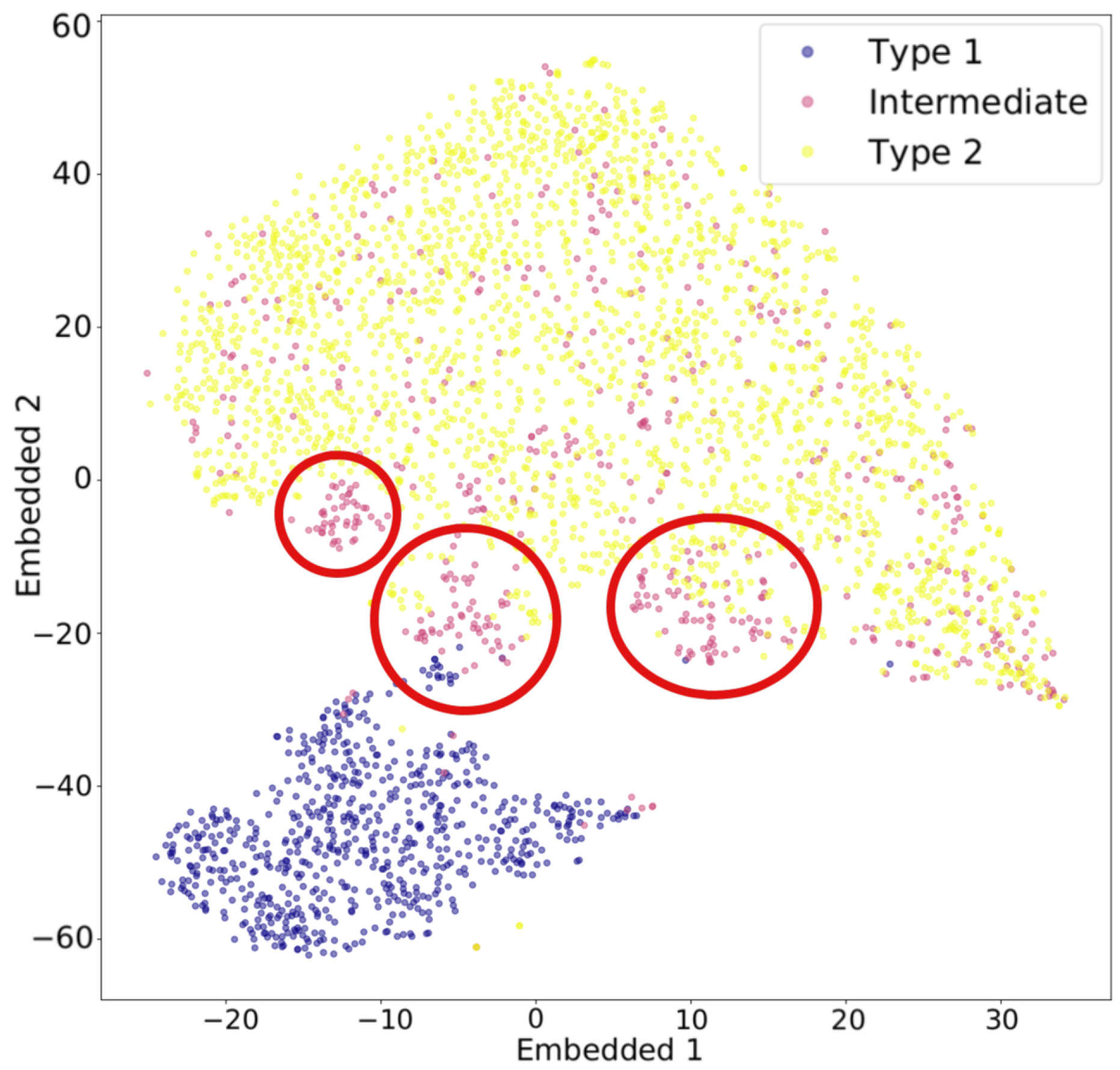 Preprints 165095 g005
