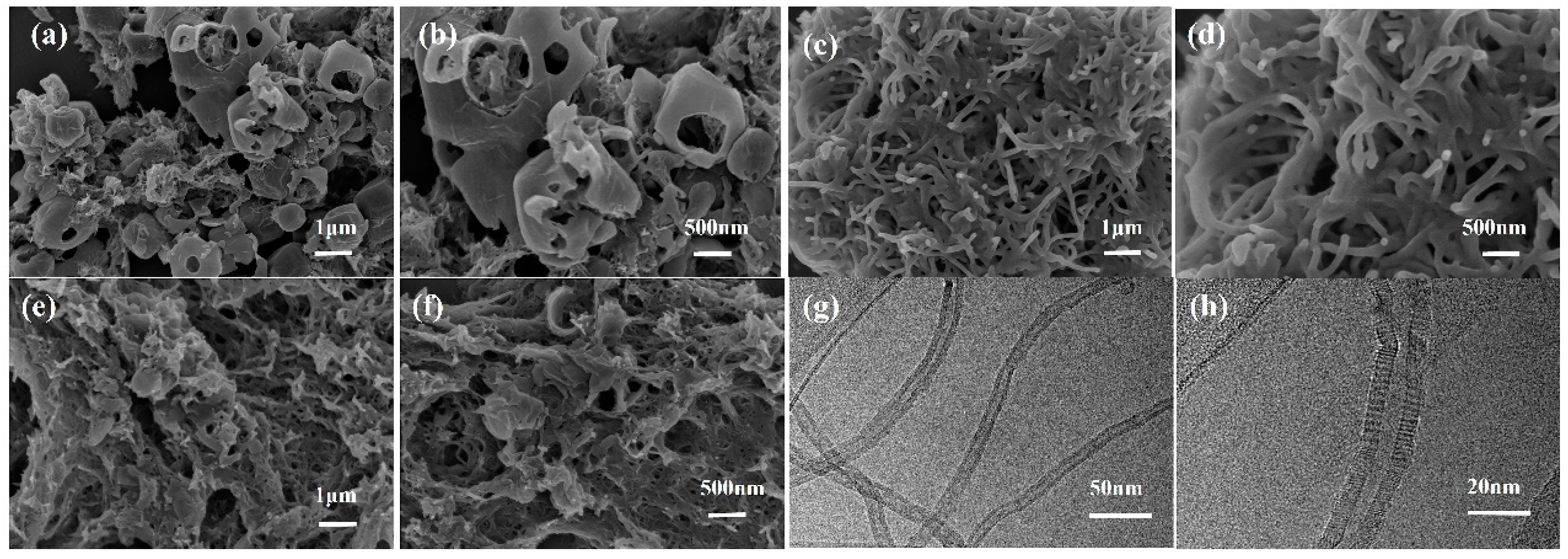 Preprints 95103 g002