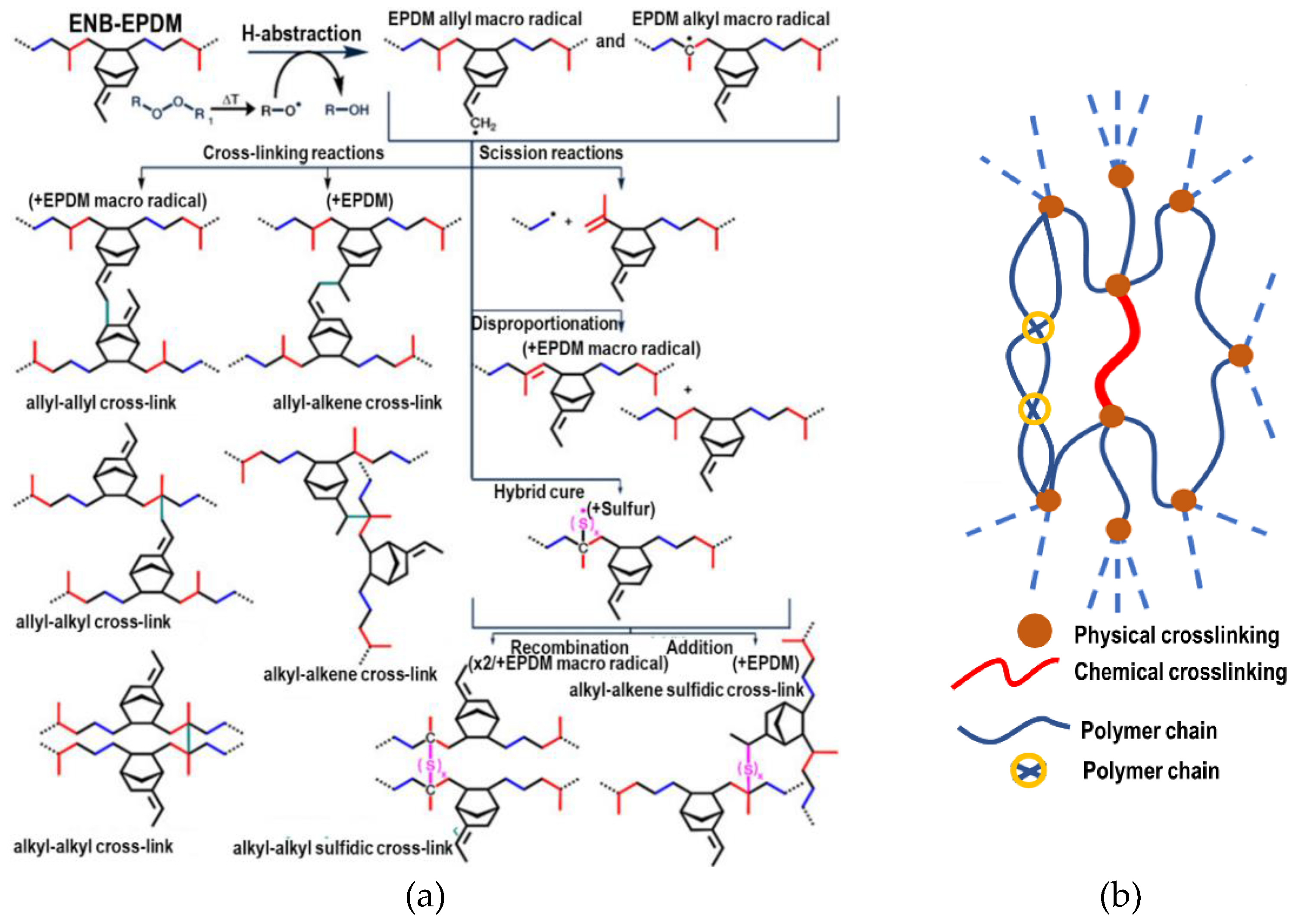 Preprints 170661 g002