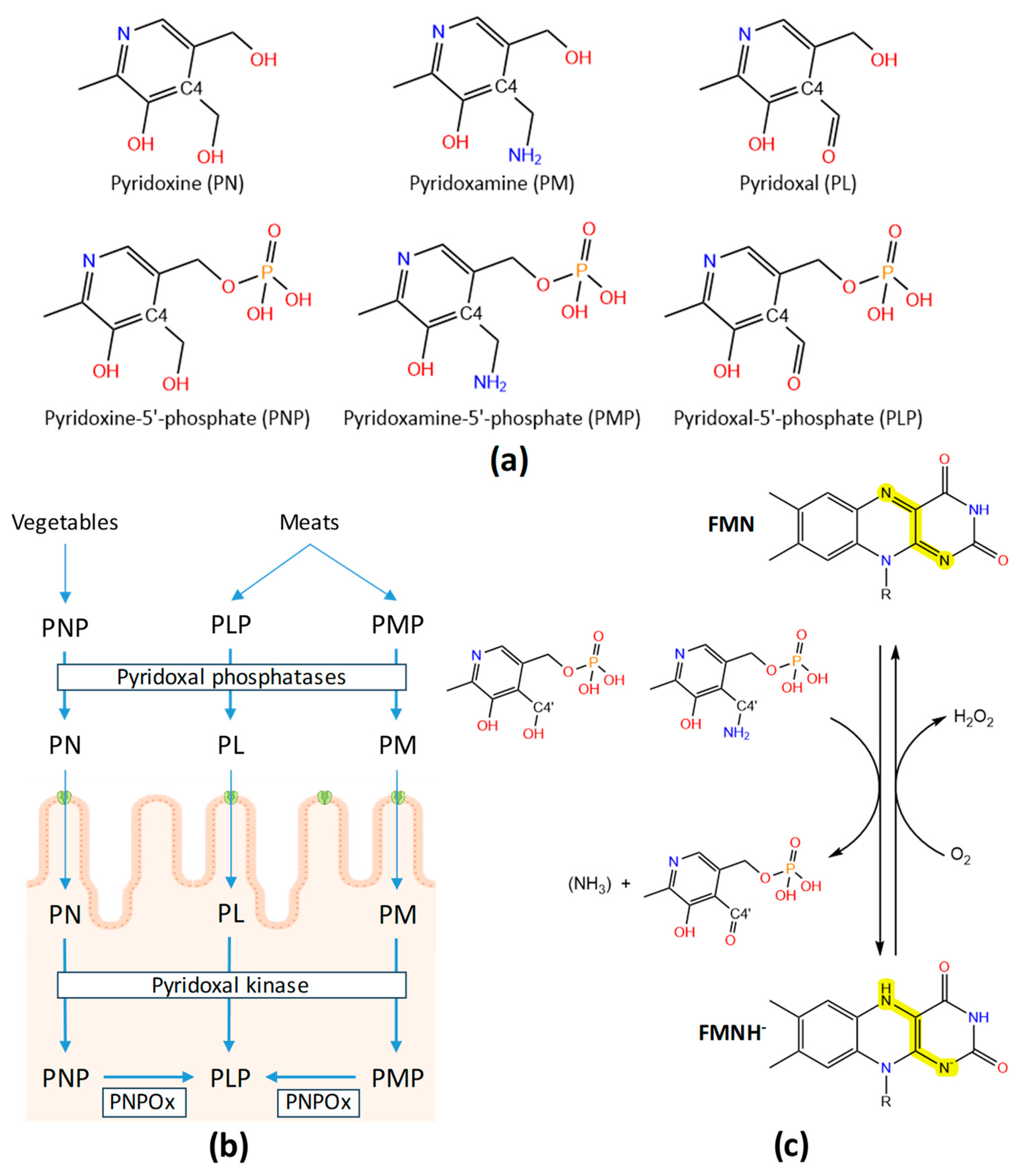 Preprints 99043 g001