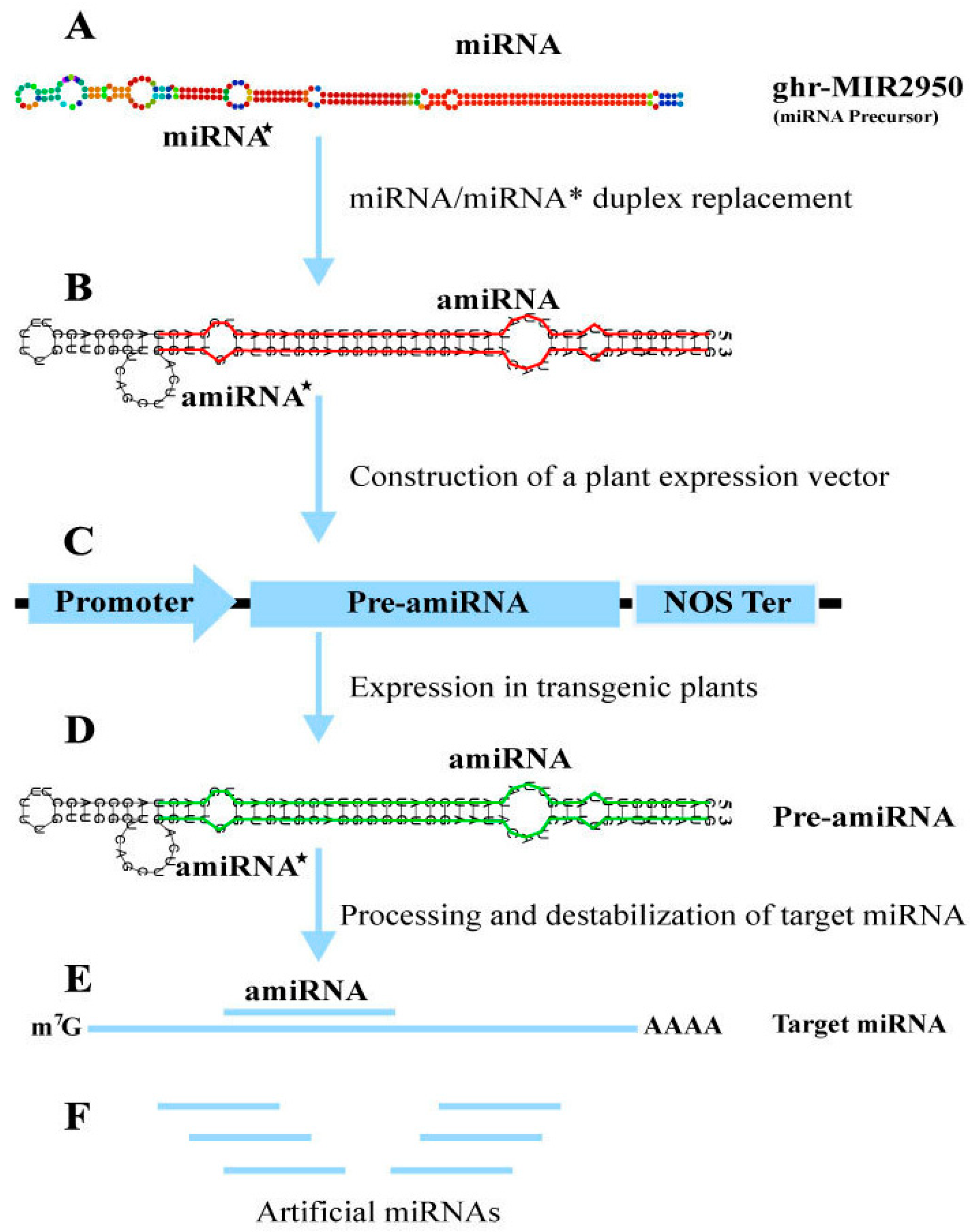 Preprints 86322 g008