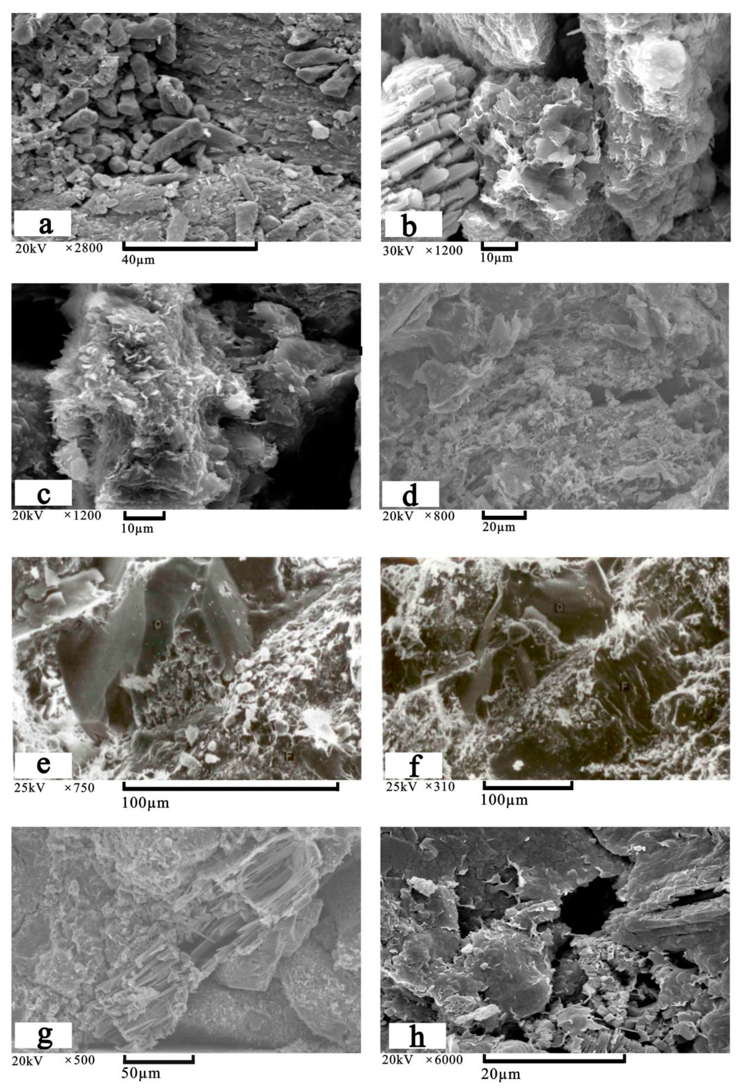 Preprints 156150 g012