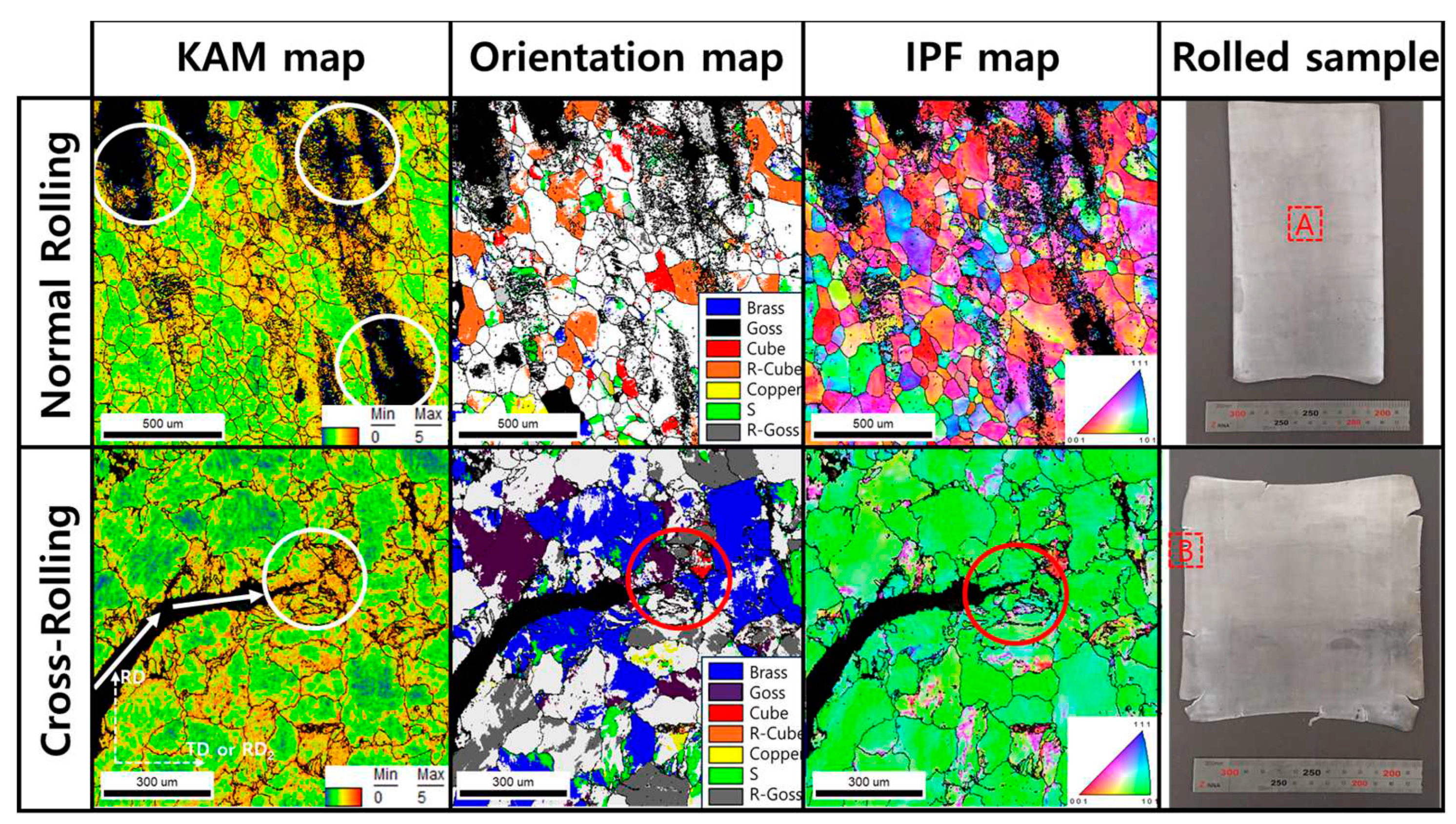 Preprints 79507 g005