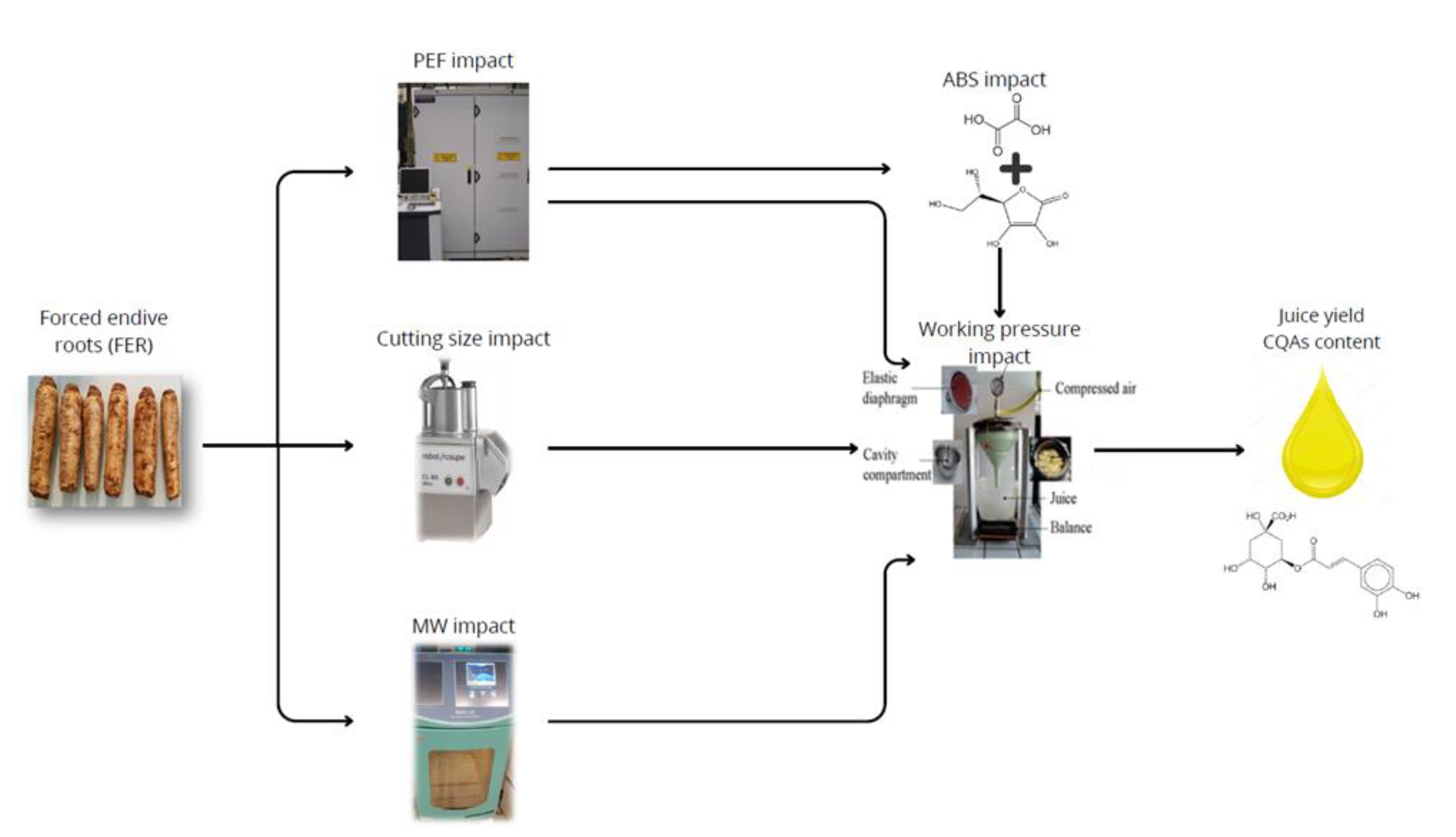 Preprints 150383 g001