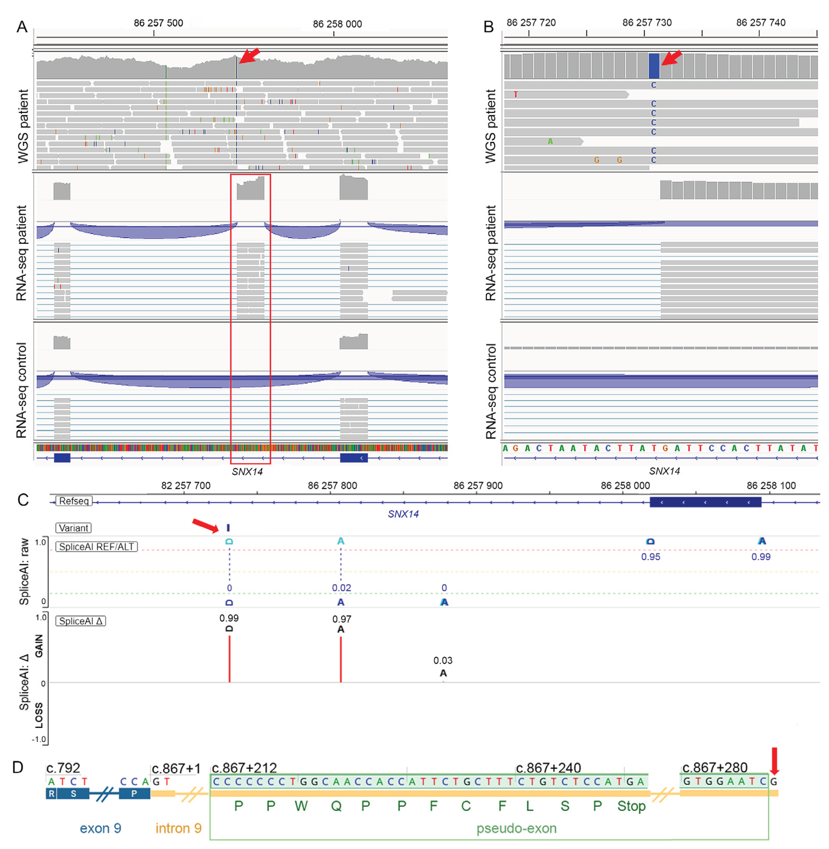 Preprints 198589 g002