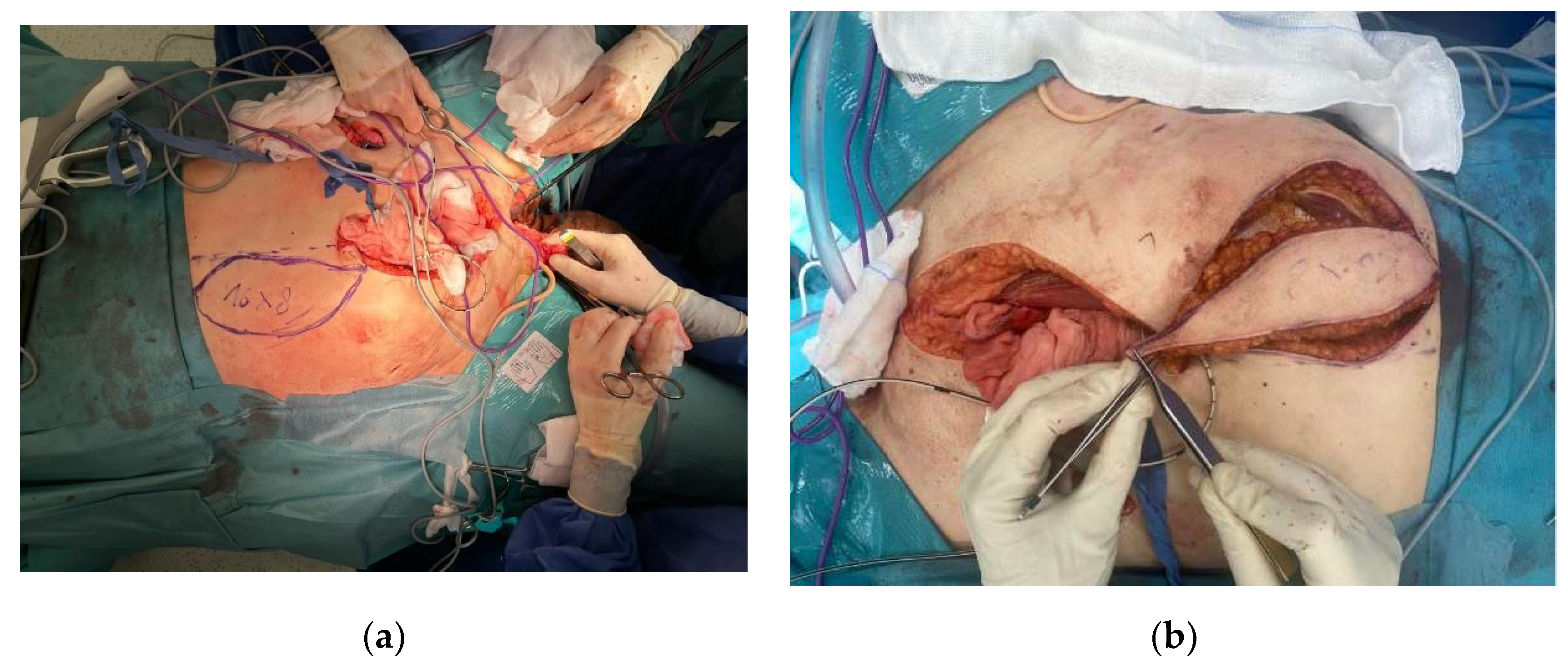 Preprints 91879 g001a