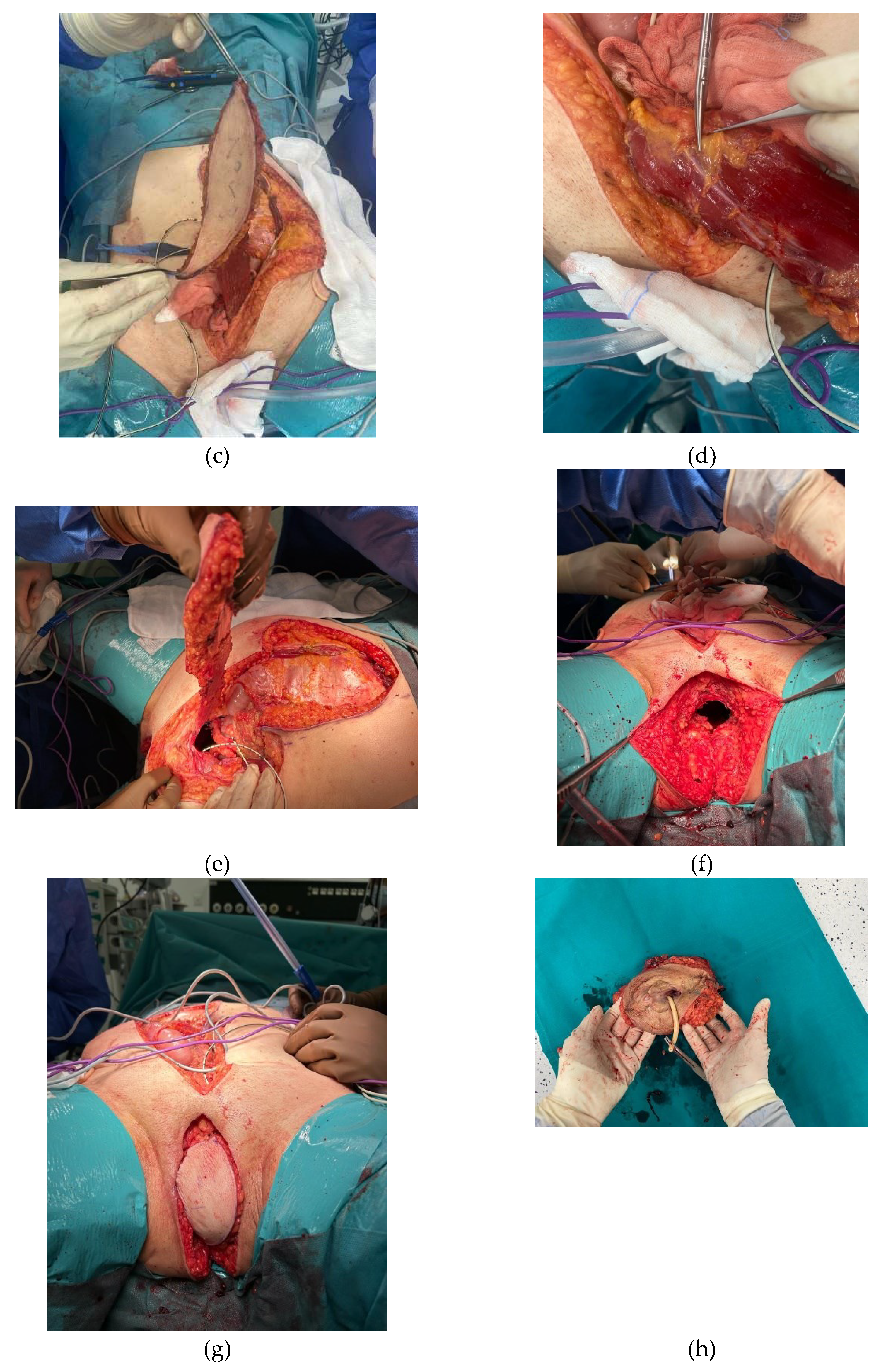 Preprints 91879 g001b