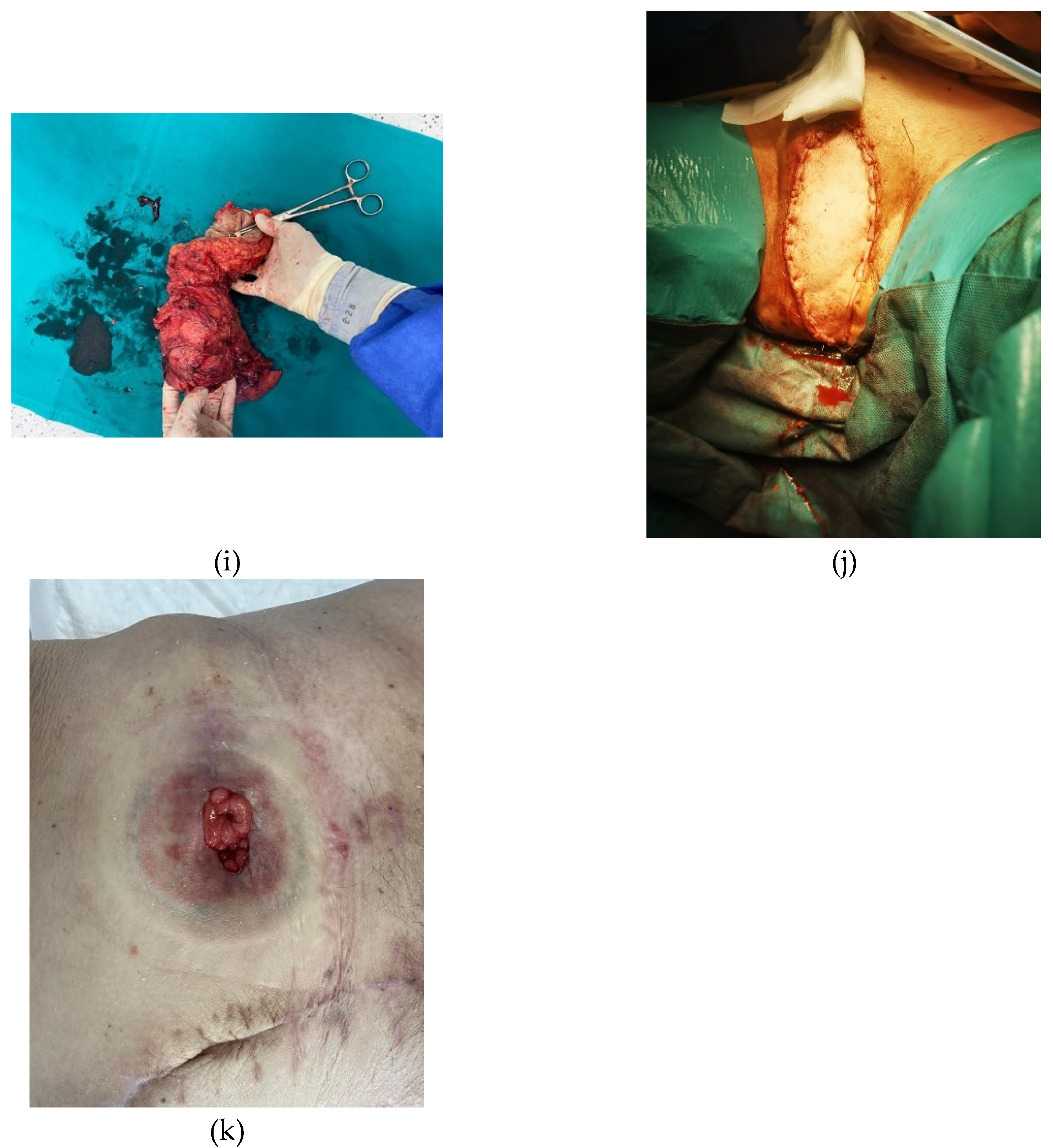 Preprints 91879 g001c