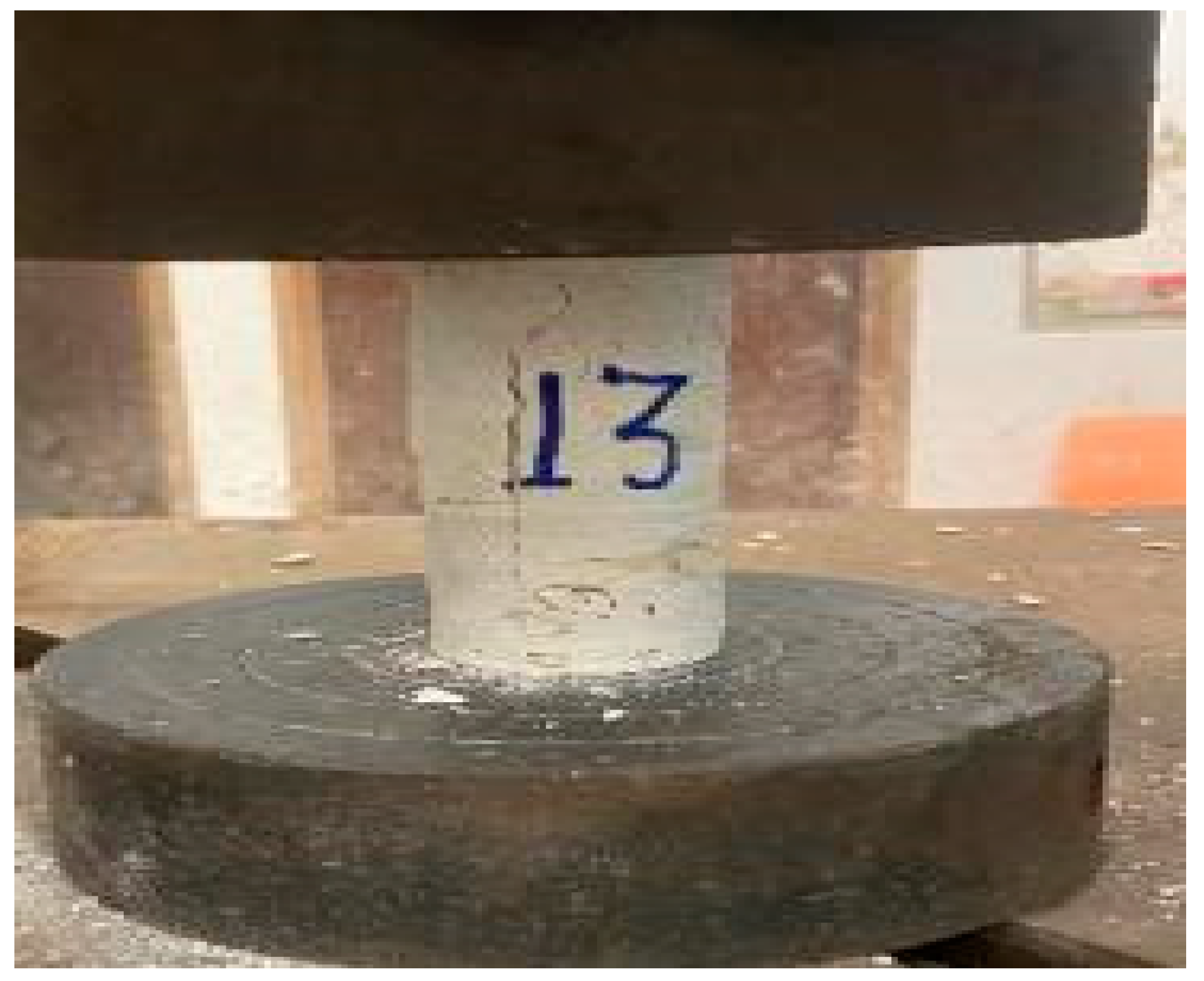 Preprints 158908 g005